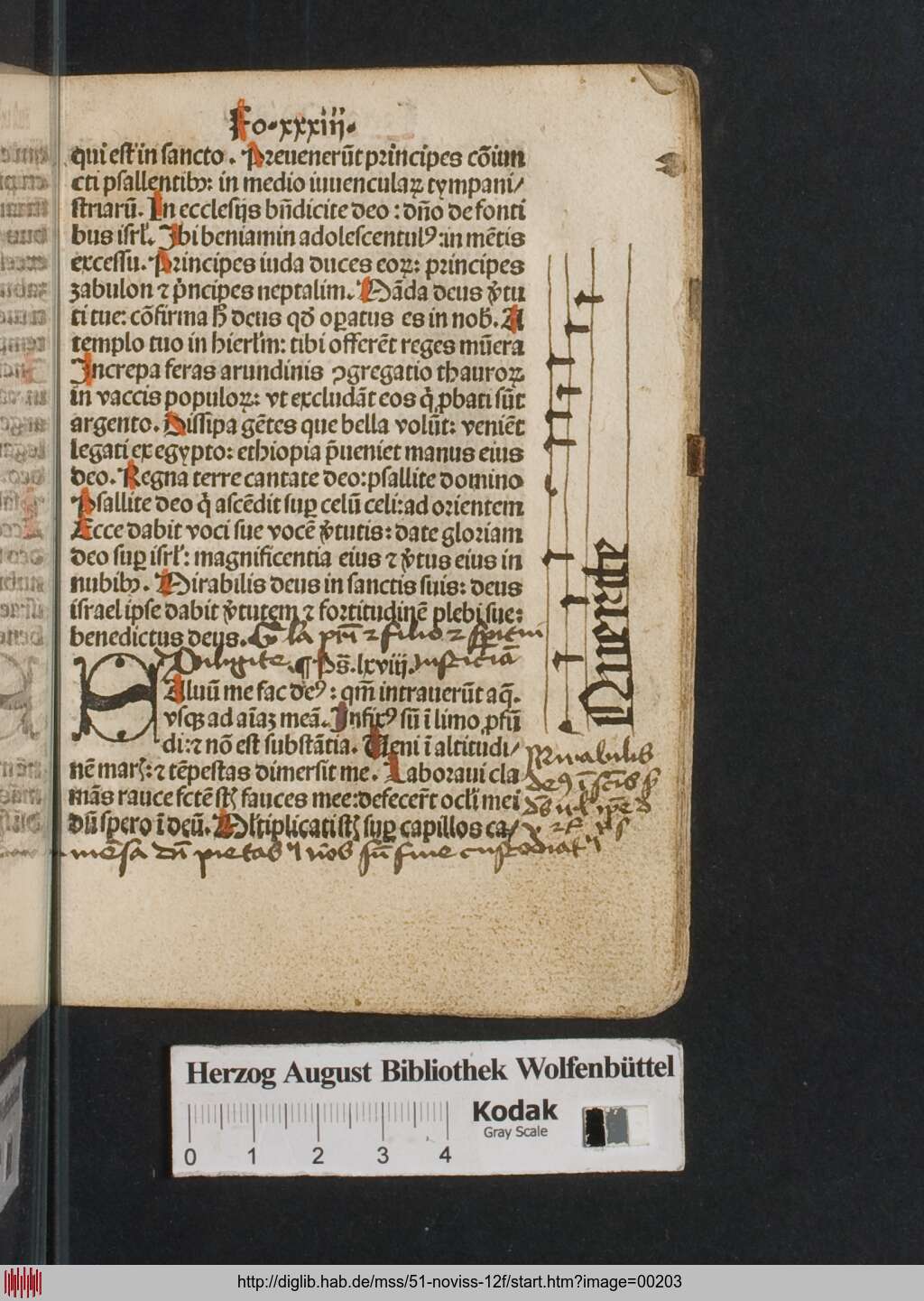 http://diglib.hab.de/mss/51-noviss-12f/00203.jpg