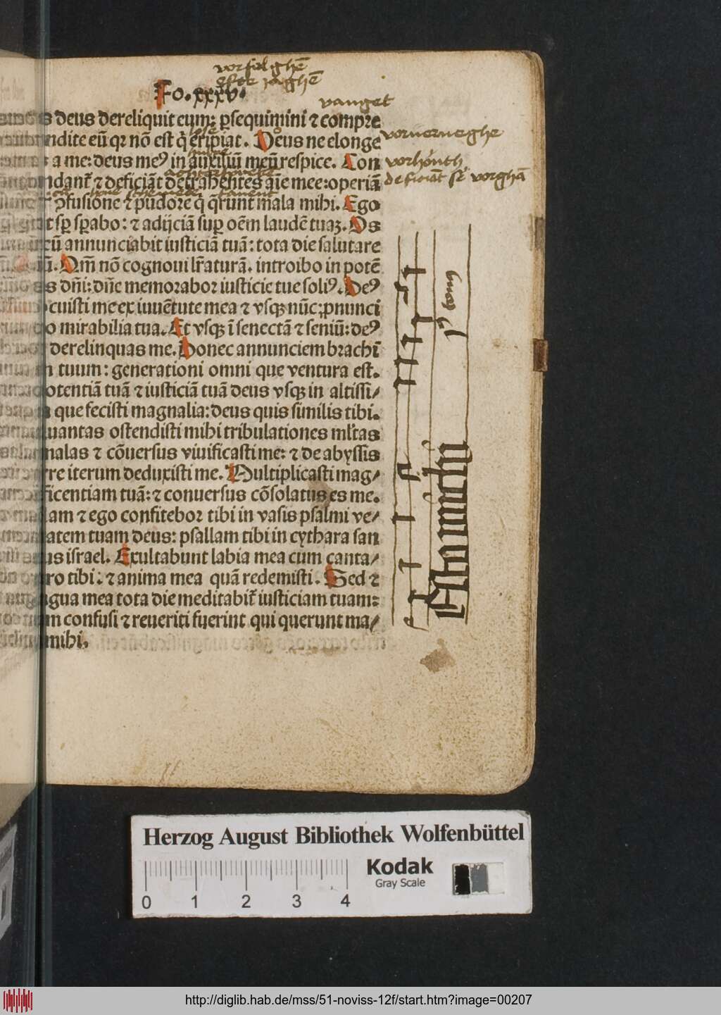 http://diglib.hab.de/mss/51-noviss-12f/00207.jpg