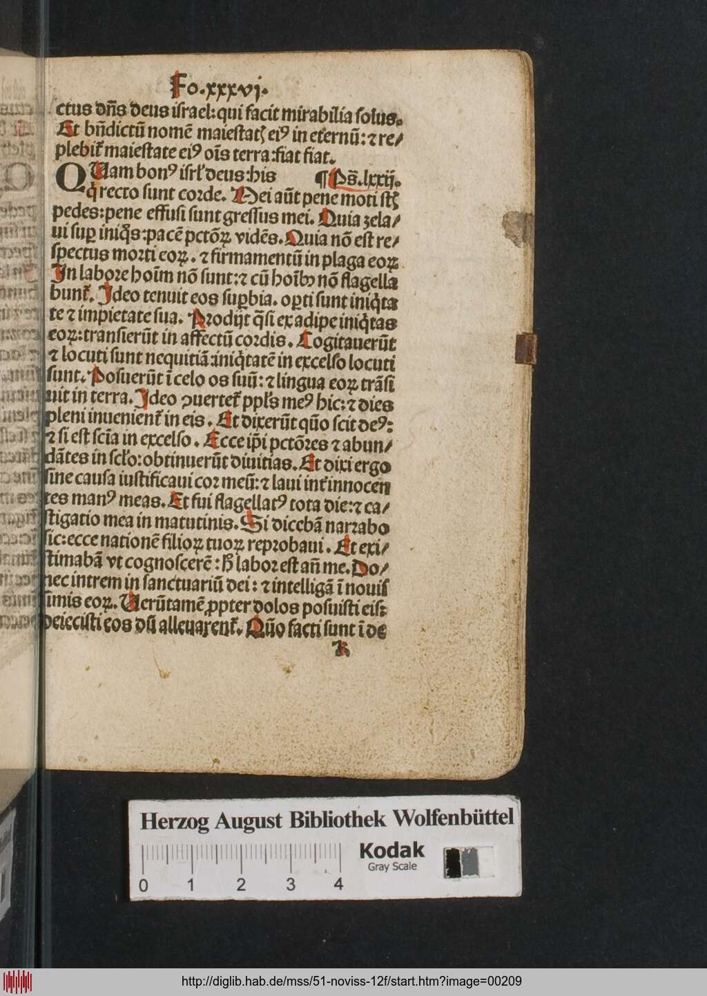 http://diglib.hab.de/mss/51-noviss-12f/00209.jpg