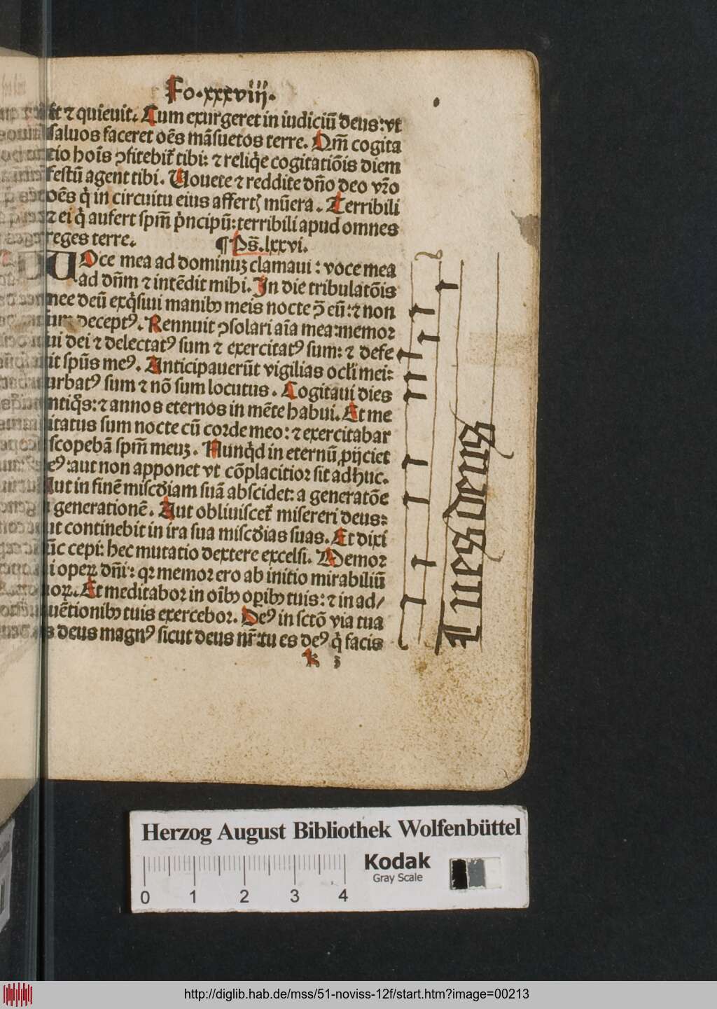 http://diglib.hab.de/mss/51-noviss-12f/00213.jpg