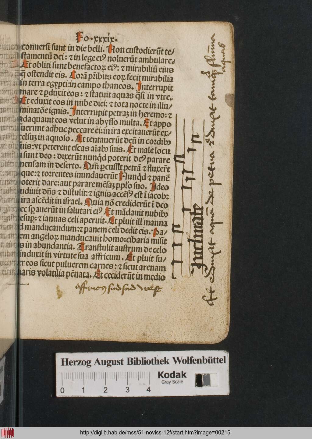 http://diglib.hab.de/mss/51-noviss-12f/00215.jpg