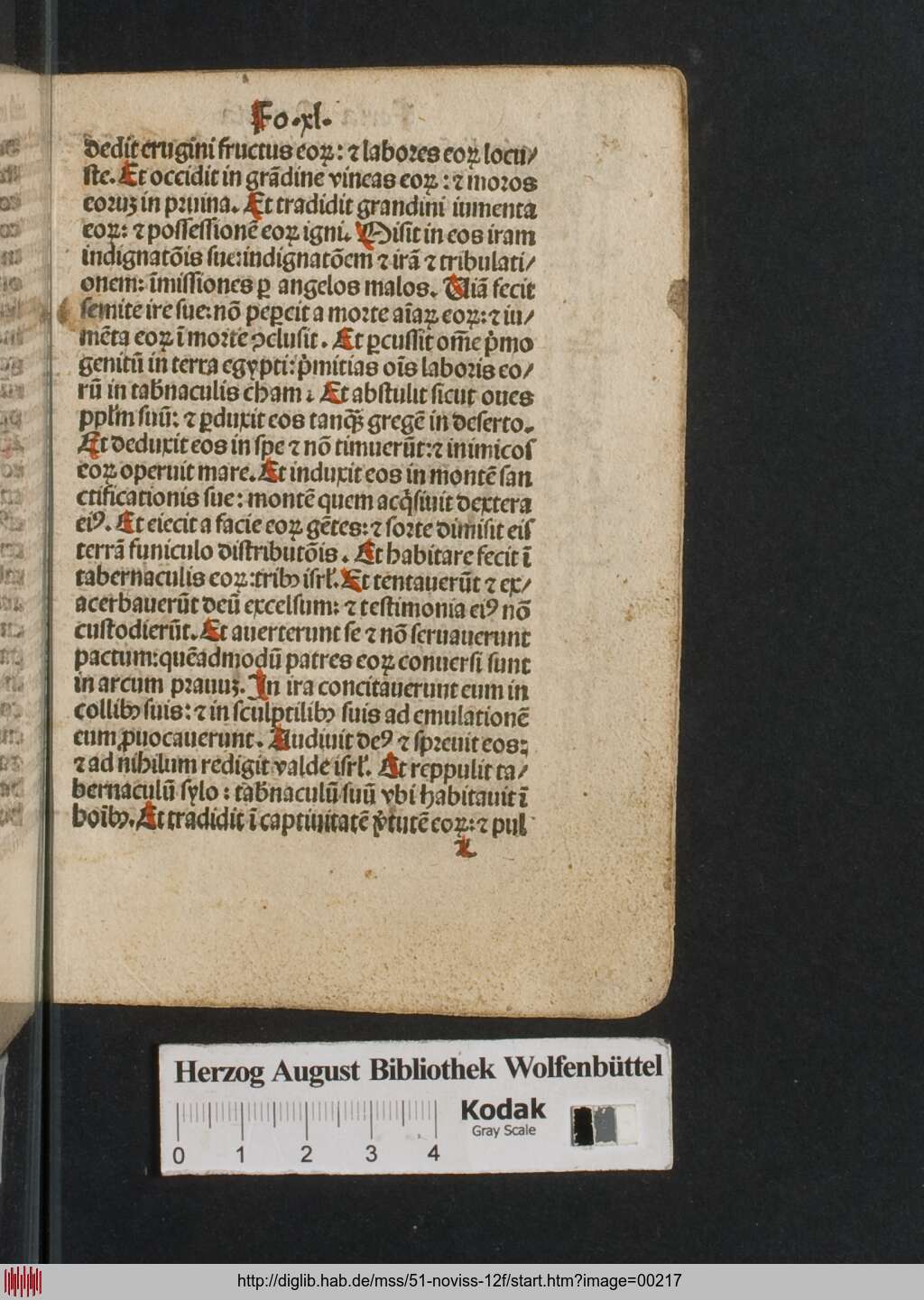 http://diglib.hab.de/mss/51-noviss-12f/00217.jpg