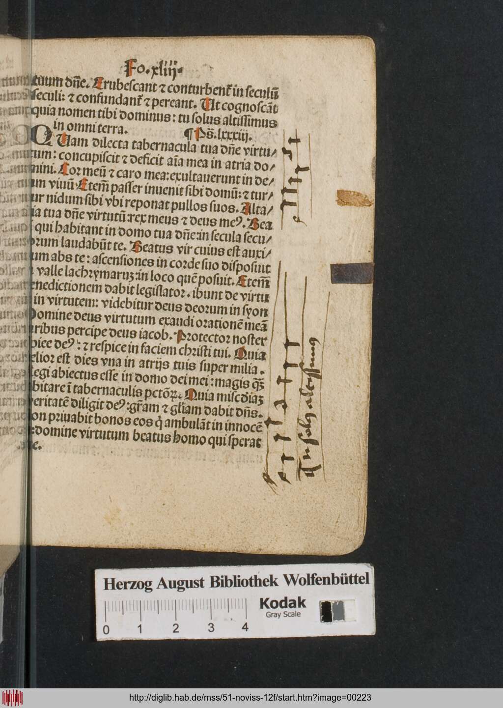 http://diglib.hab.de/mss/51-noviss-12f/00223.jpg