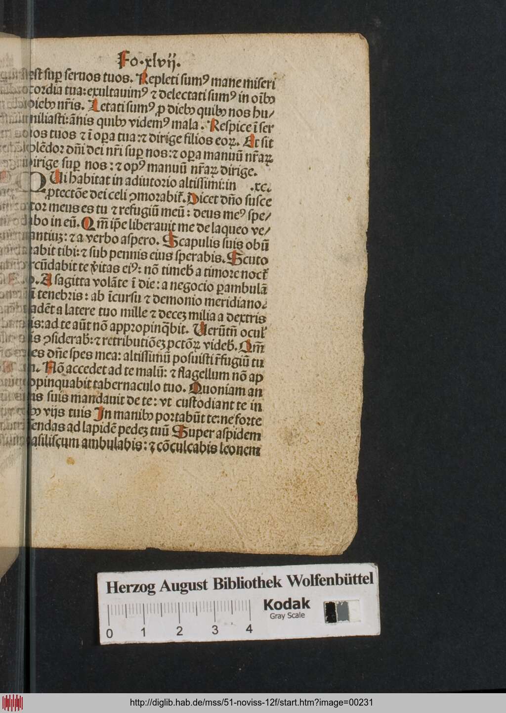 http://diglib.hab.de/mss/51-noviss-12f/00231.jpg