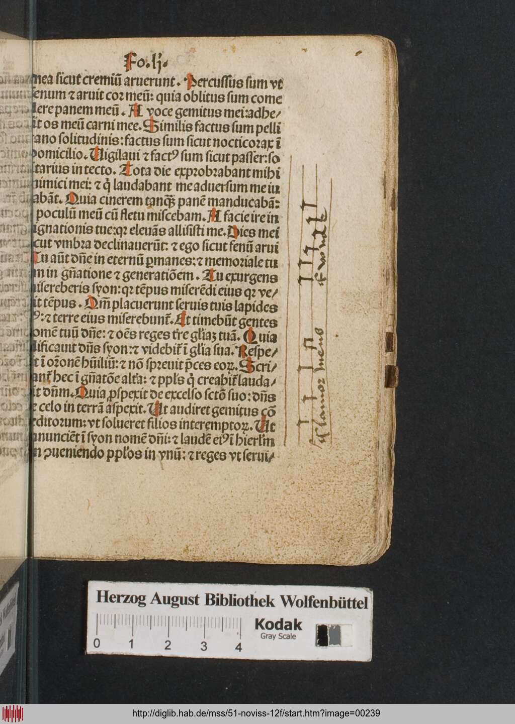 http://diglib.hab.de/mss/51-noviss-12f/00239.jpg