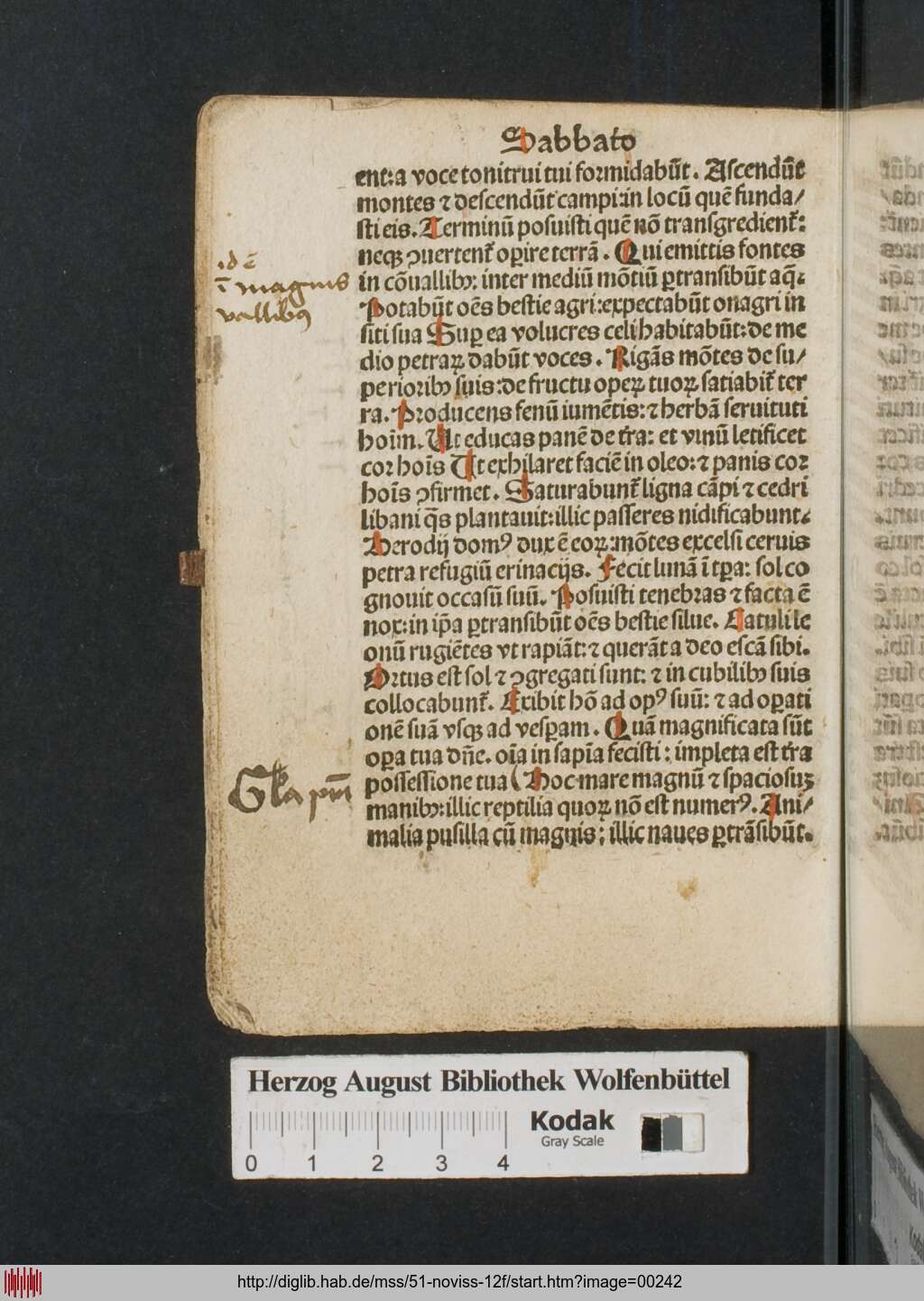 http://diglib.hab.de/mss/51-noviss-12f/00242.jpg