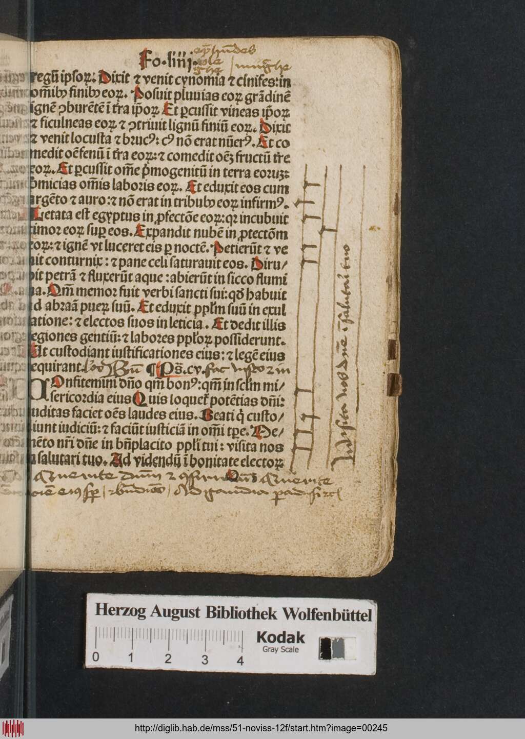 http://diglib.hab.de/mss/51-noviss-12f/00245.jpg