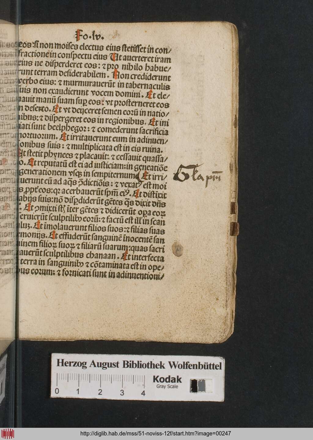 http://diglib.hab.de/mss/51-noviss-12f/00247.jpg