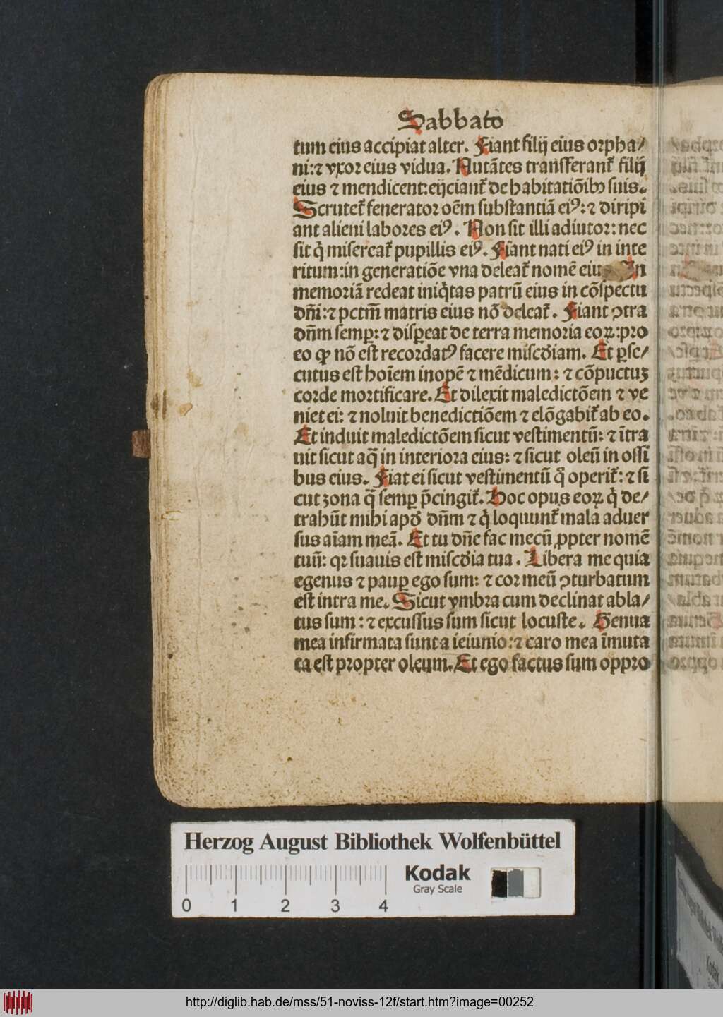 http://diglib.hab.de/mss/51-noviss-12f/00252.jpg