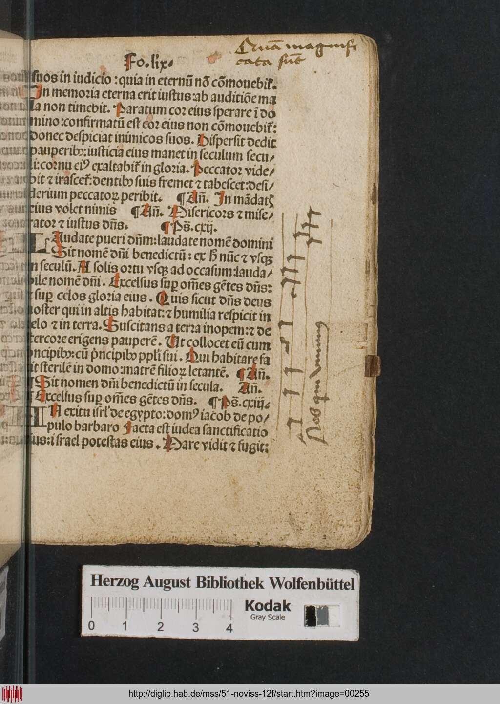 http://diglib.hab.de/mss/51-noviss-12f/00255.jpg