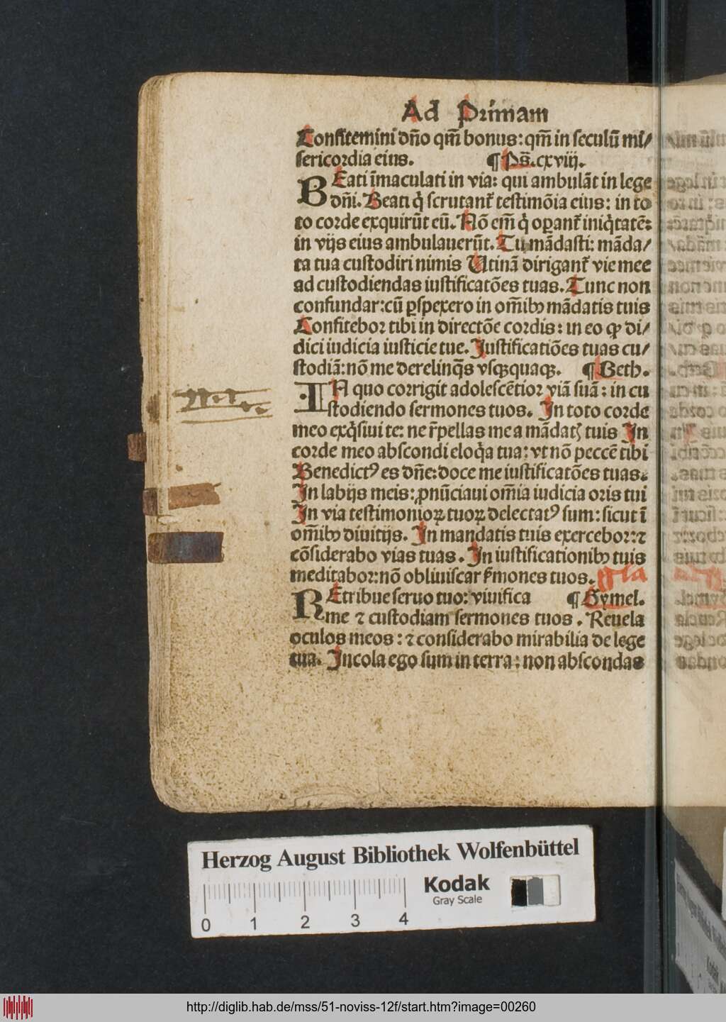 http://diglib.hab.de/mss/51-noviss-12f/00260.jpg