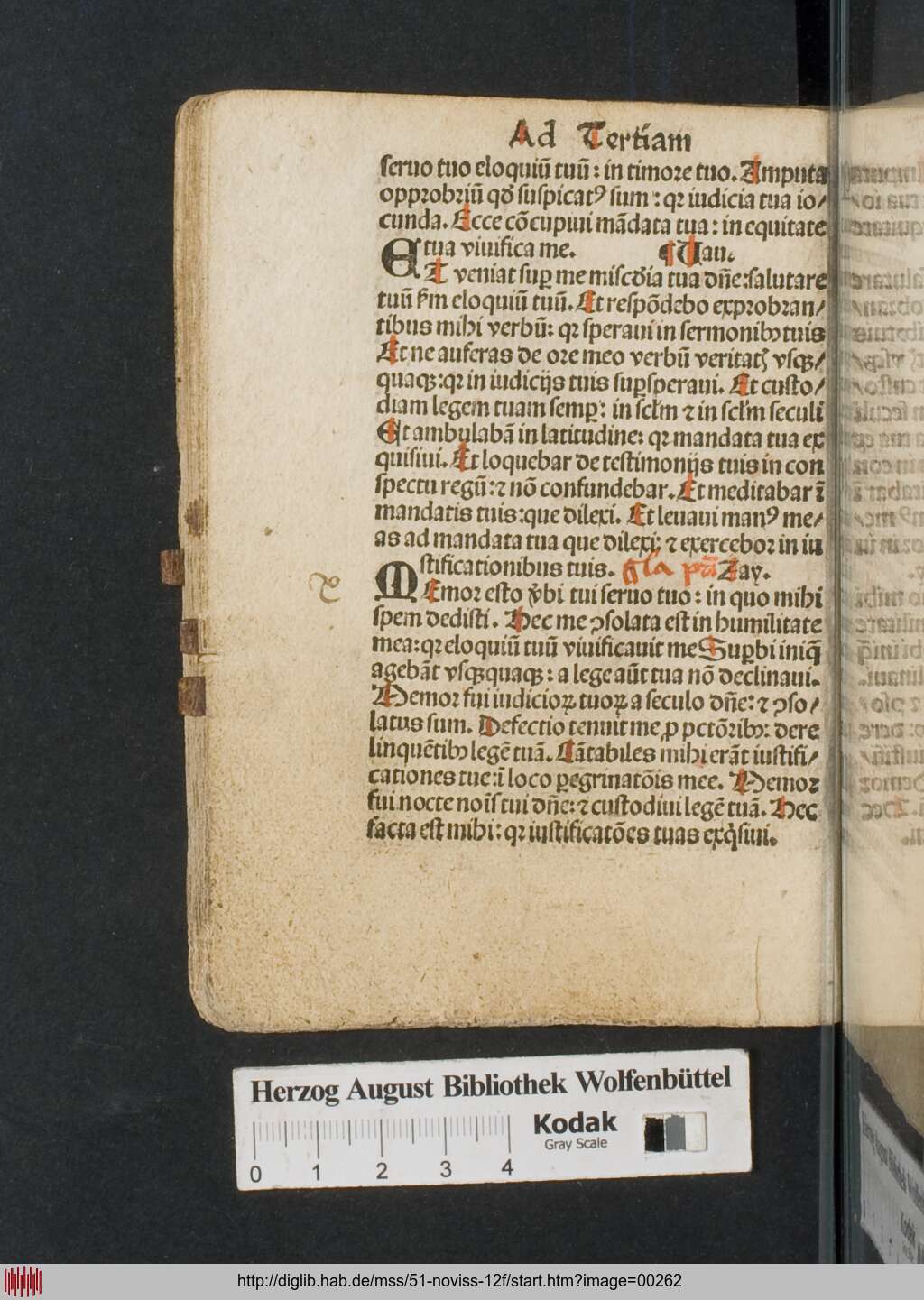 http://diglib.hab.de/mss/51-noviss-12f/00262.jpg