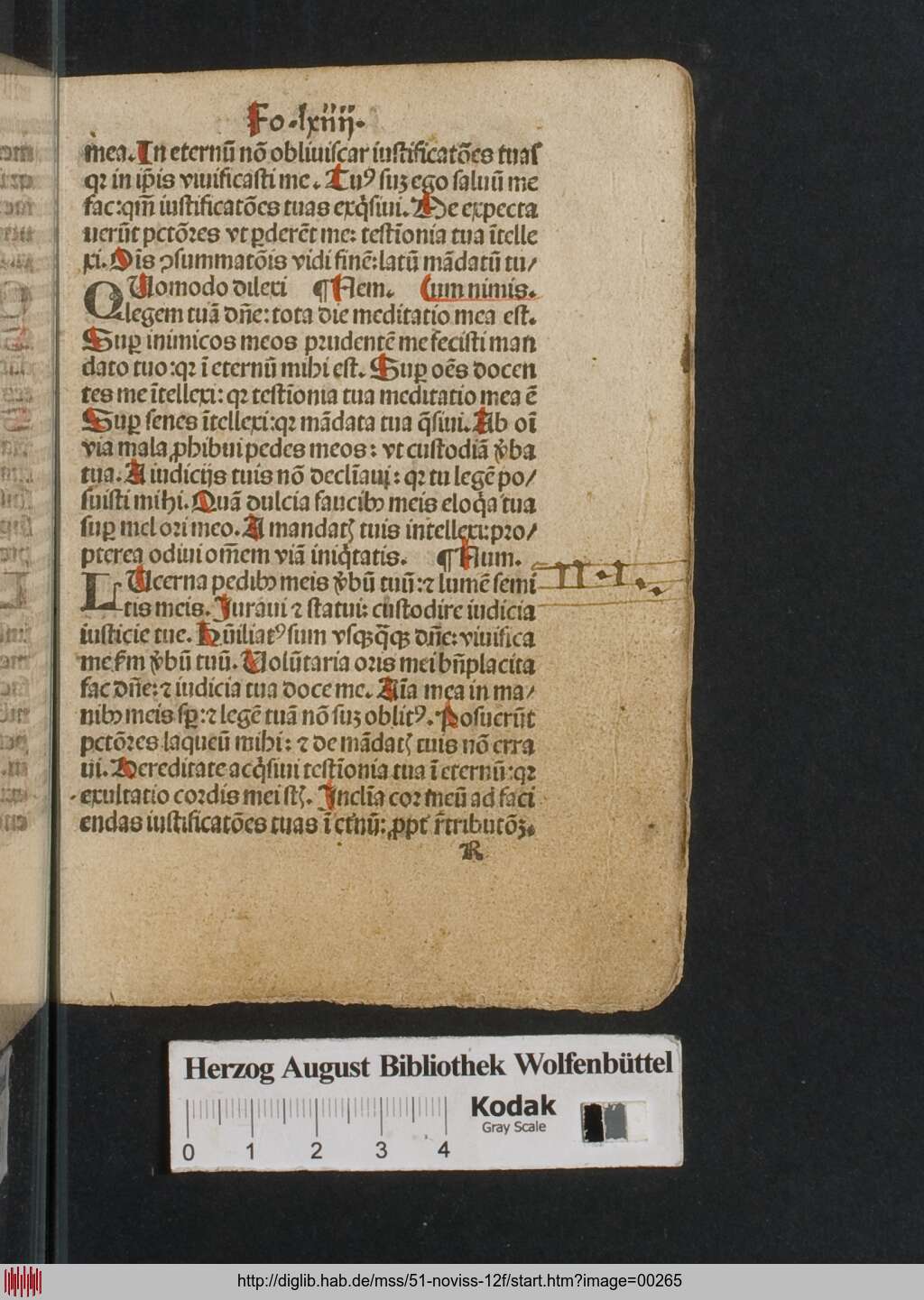 http://diglib.hab.de/mss/51-noviss-12f/00265.jpg