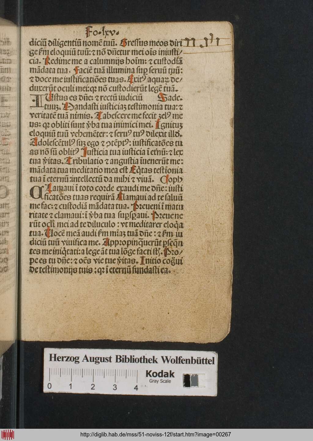 http://diglib.hab.de/mss/51-noviss-12f/00267.jpg