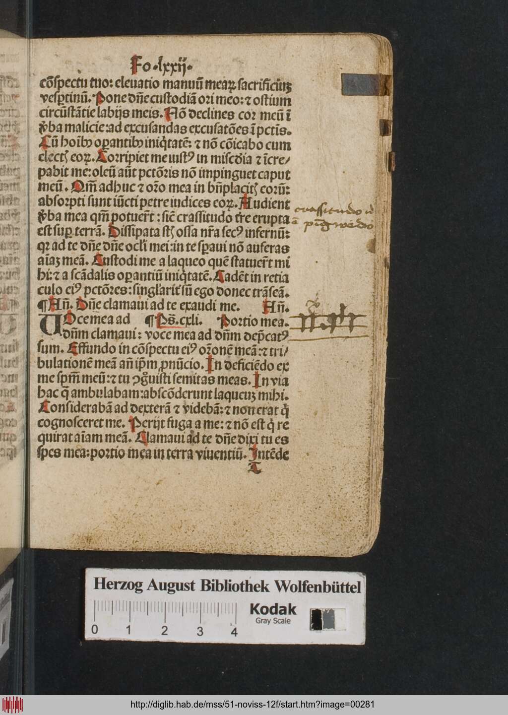 http://diglib.hab.de/mss/51-noviss-12f/00281.jpg