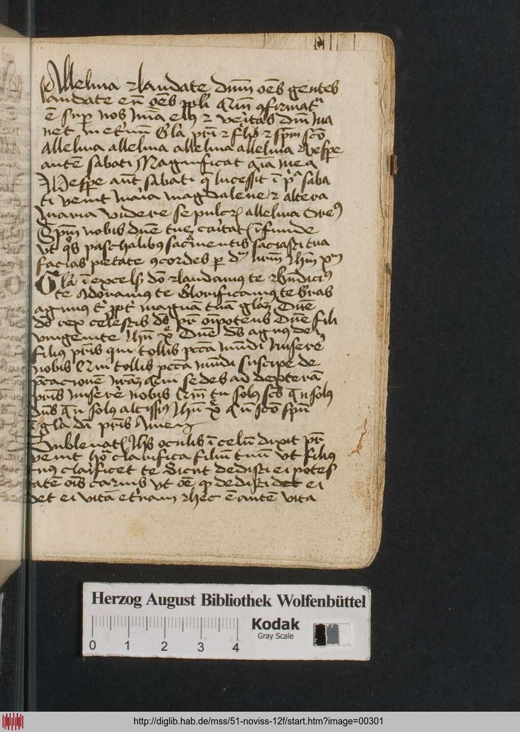 http://diglib.hab.de/mss/51-noviss-12f/00301.jpg