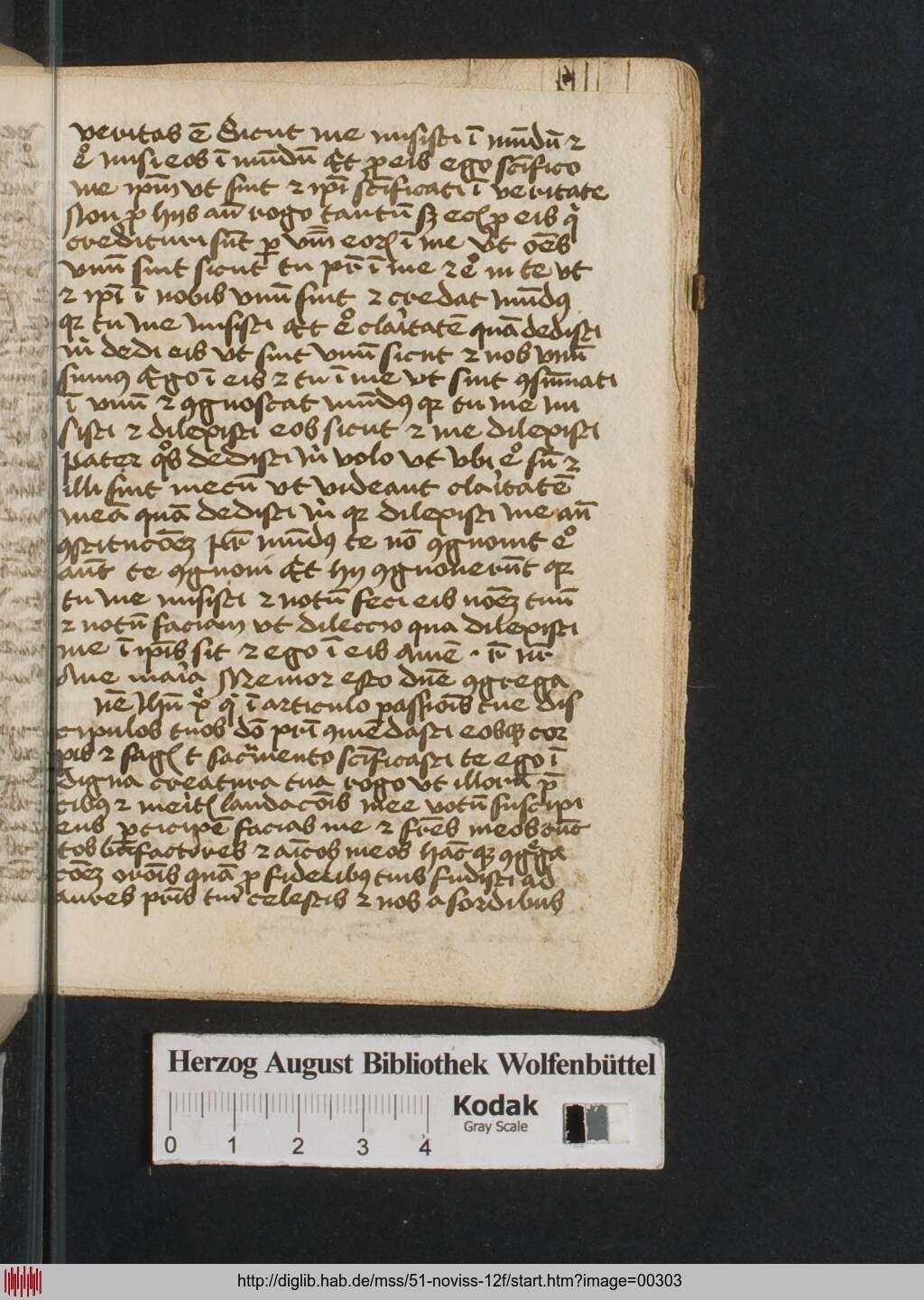 http://diglib.hab.de/mss/51-noviss-12f/00303.jpg