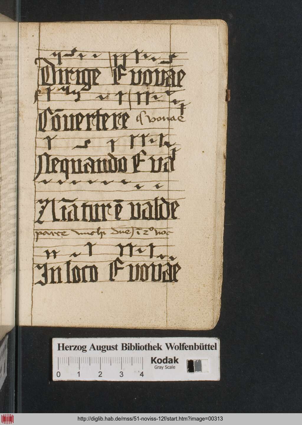 http://diglib.hab.de/mss/51-noviss-12f/00313.jpg