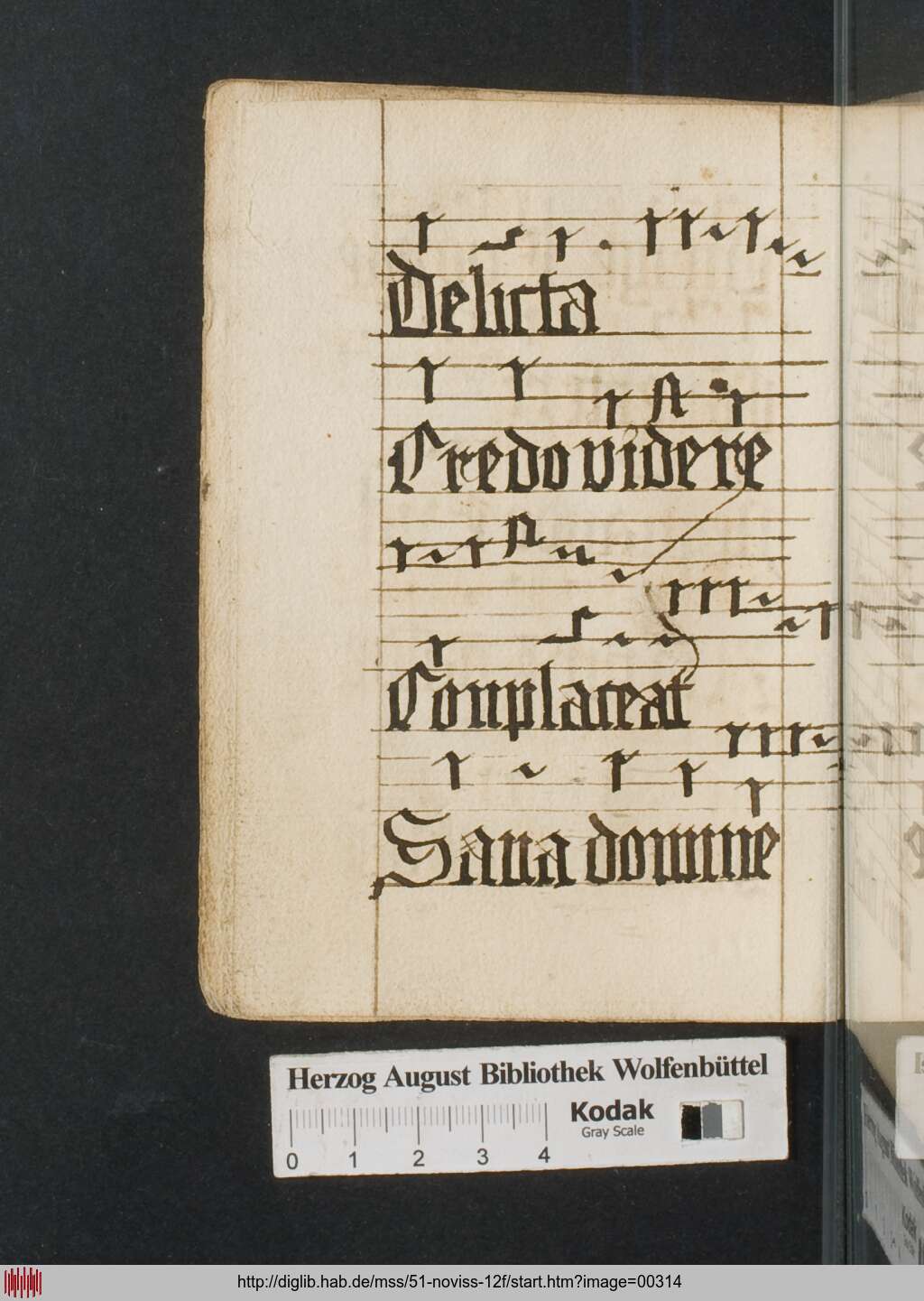 http://diglib.hab.de/mss/51-noviss-12f/00314.jpg