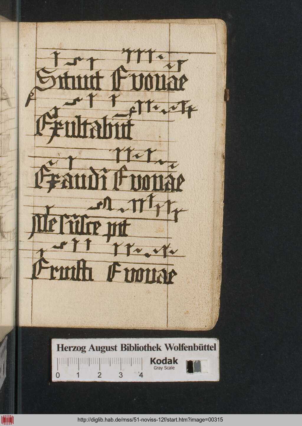 http://diglib.hab.de/mss/51-noviss-12f/00315.jpg