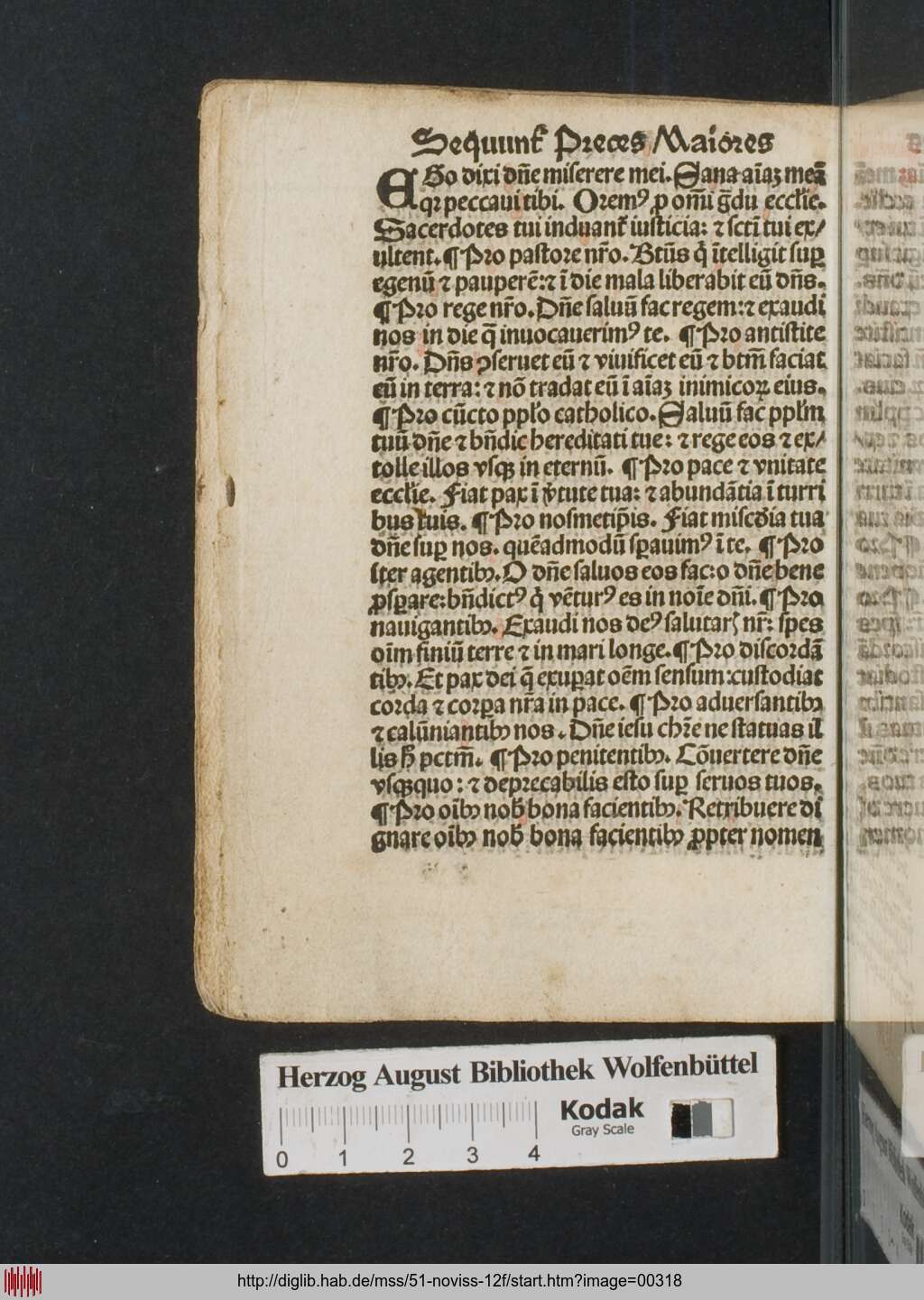 http://diglib.hab.de/mss/51-noviss-12f/00318.jpg