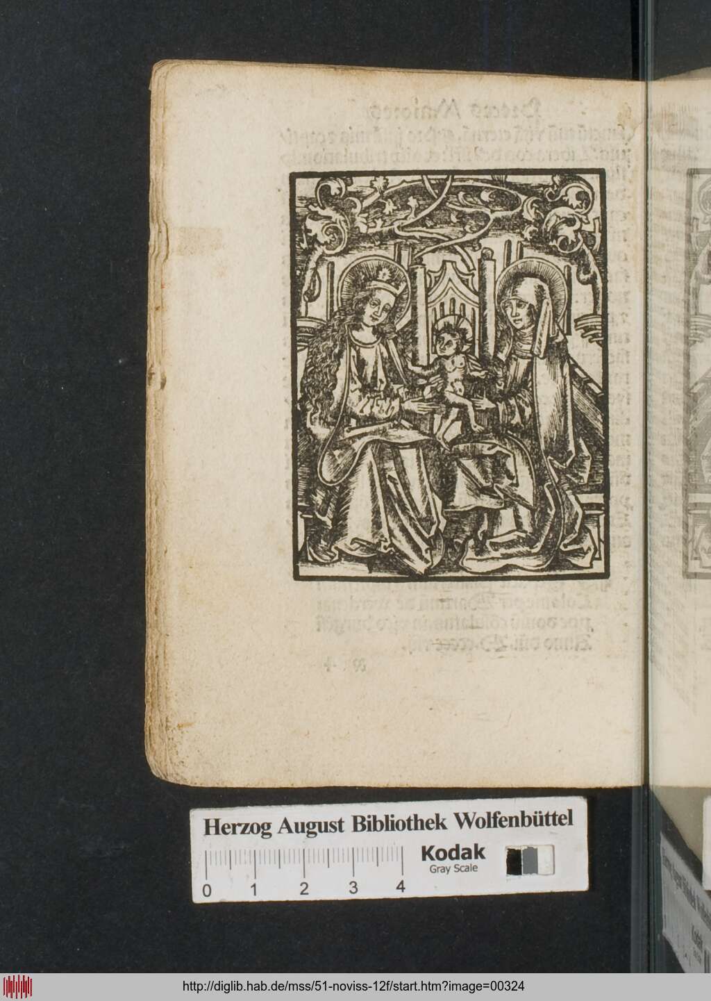 http://diglib.hab.de/mss/51-noviss-12f/00324.jpg