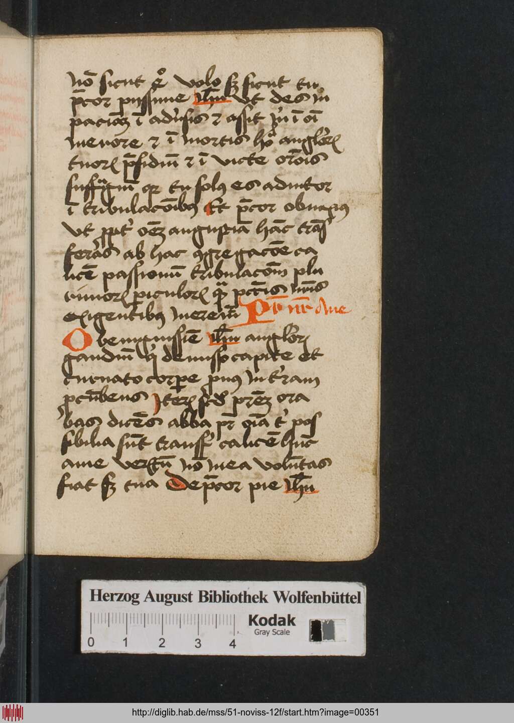 http://diglib.hab.de/mss/51-noviss-12f/00351.jpg