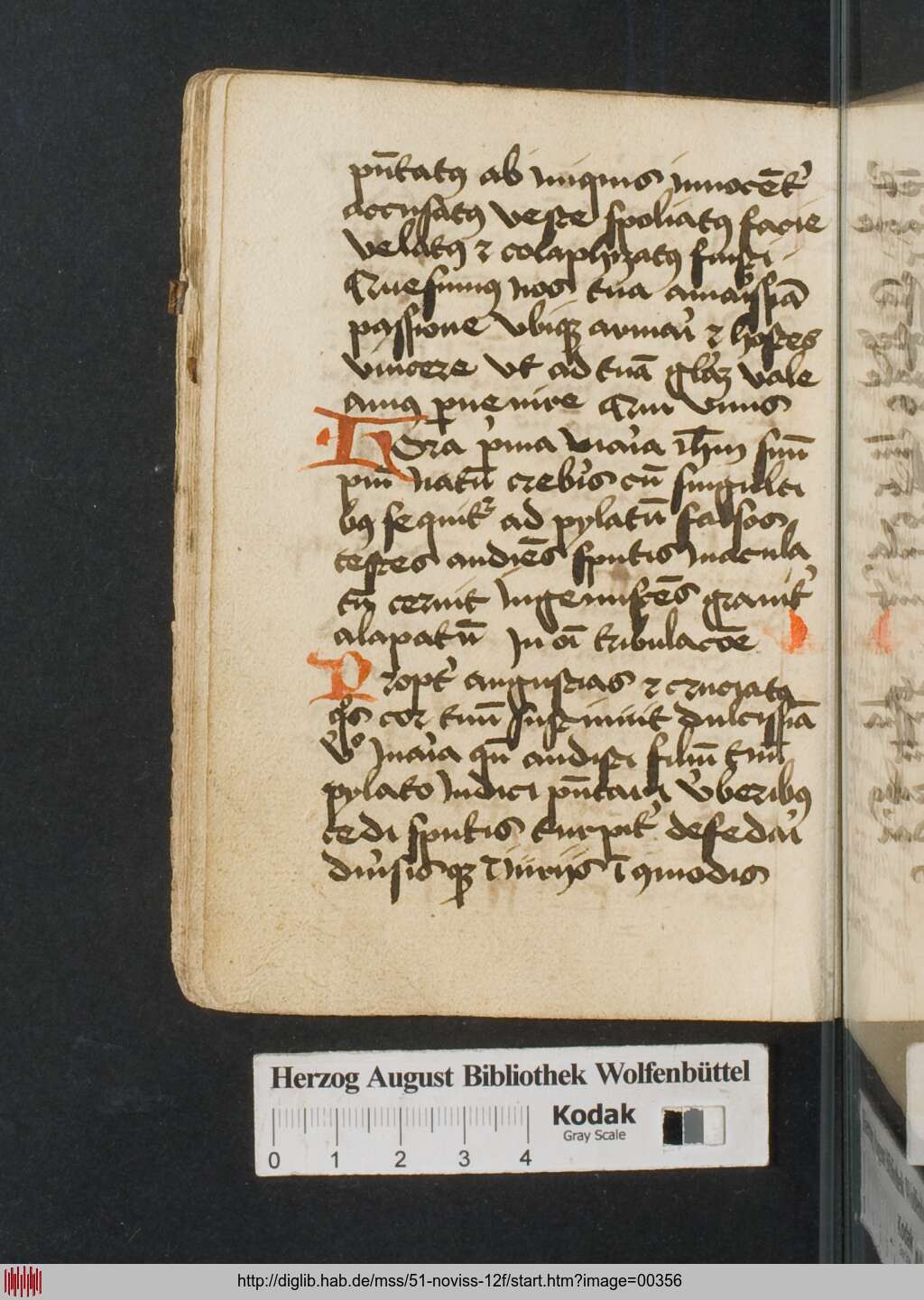 http://diglib.hab.de/mss/51-noviss-12f/00356.jpg