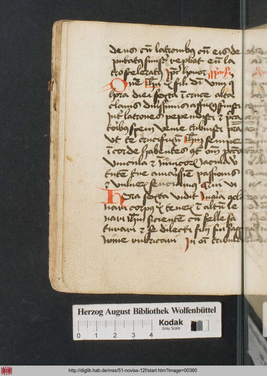 http://diglib.hab.de/mss/51-noviss-12f/00360.jpg