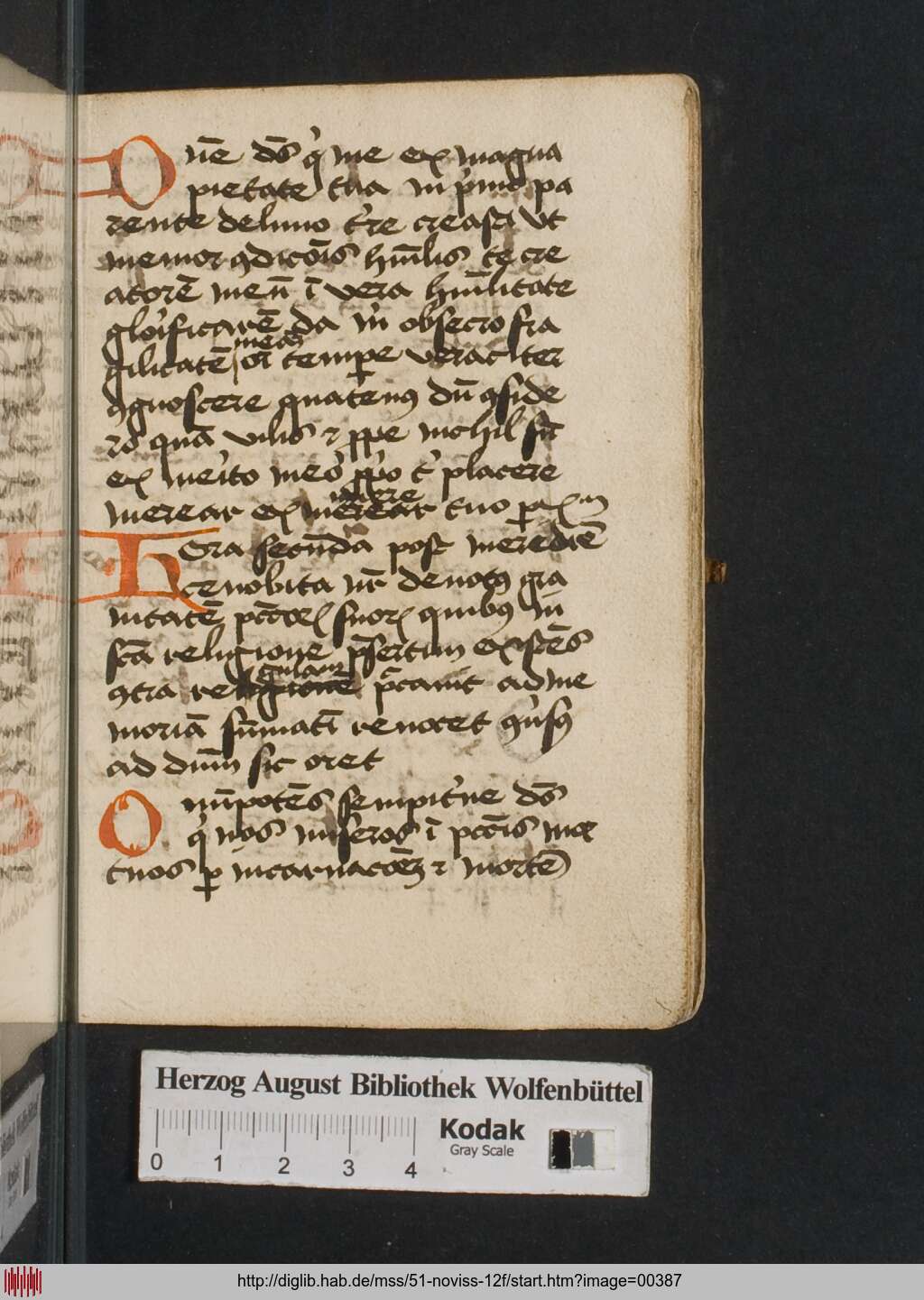 http://diglib.hab.de/mss/51-noviss-12f/00387.jpg