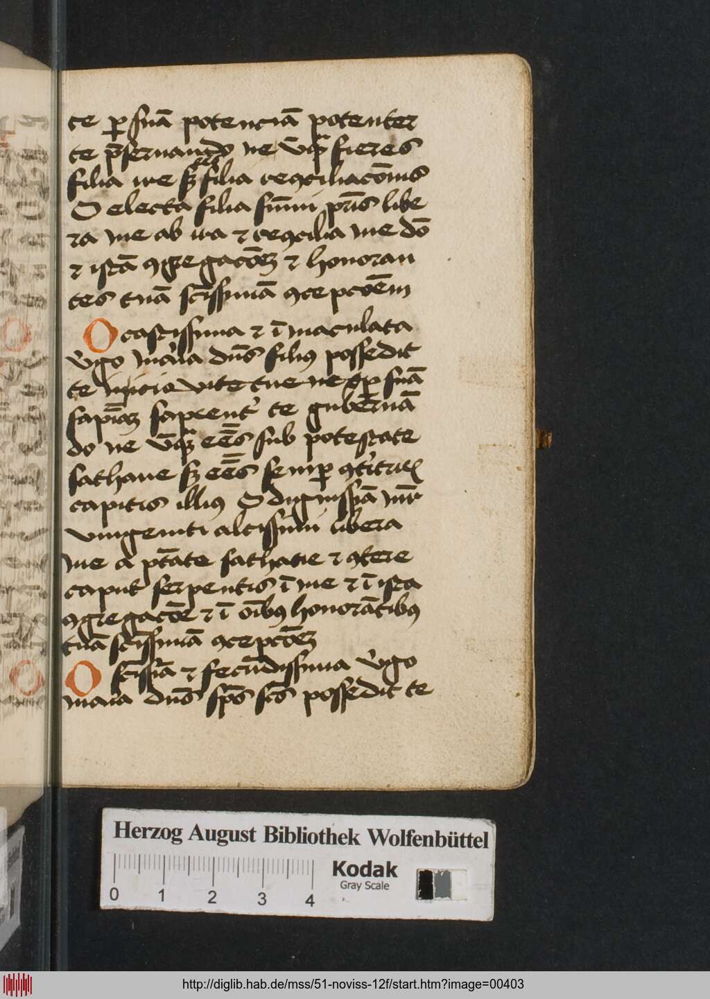 http://diglib.hab.de/mss/51-noviss-12f/00403.jpg