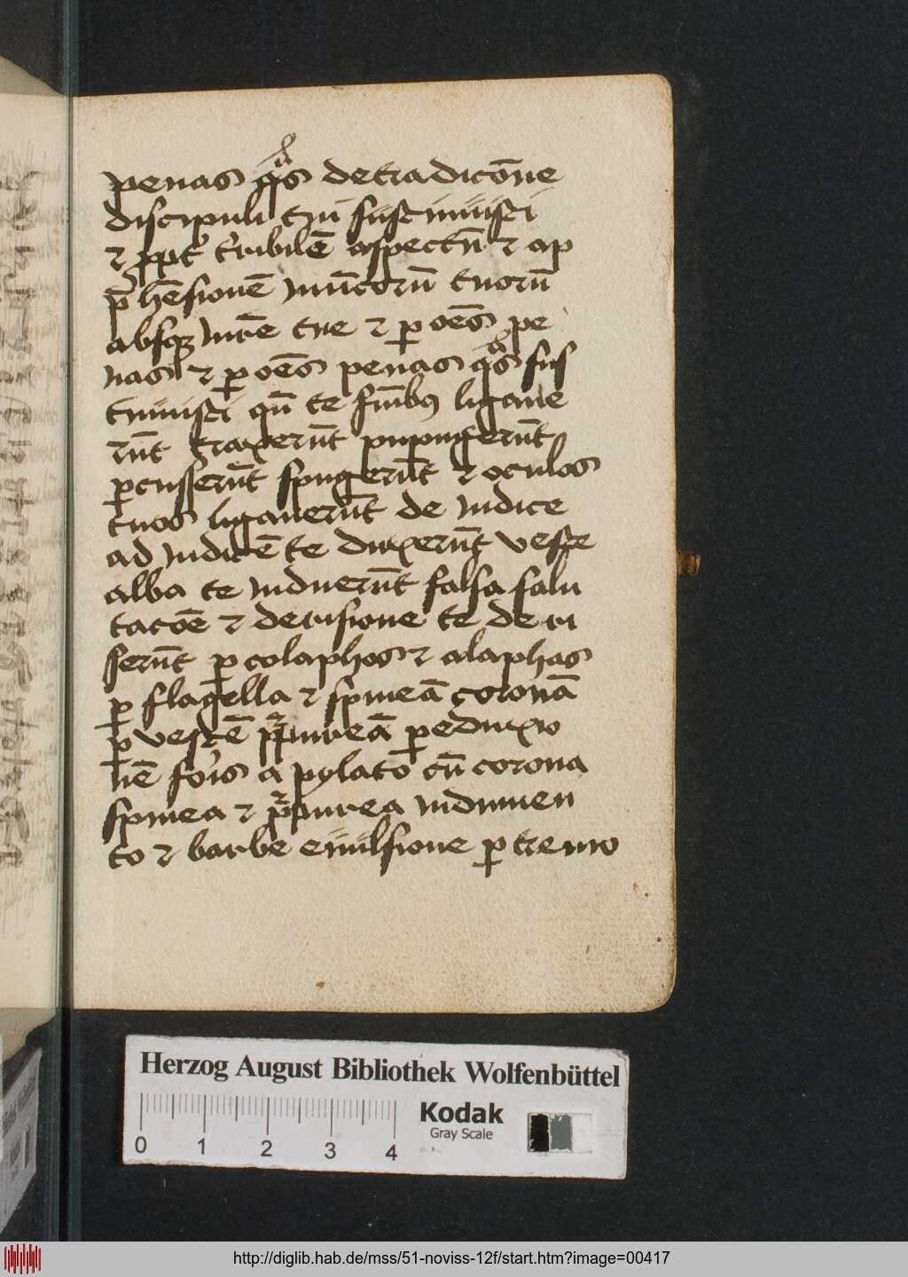 http://diglib.hab.de/mss/51-noviss-12f/00417.jpg