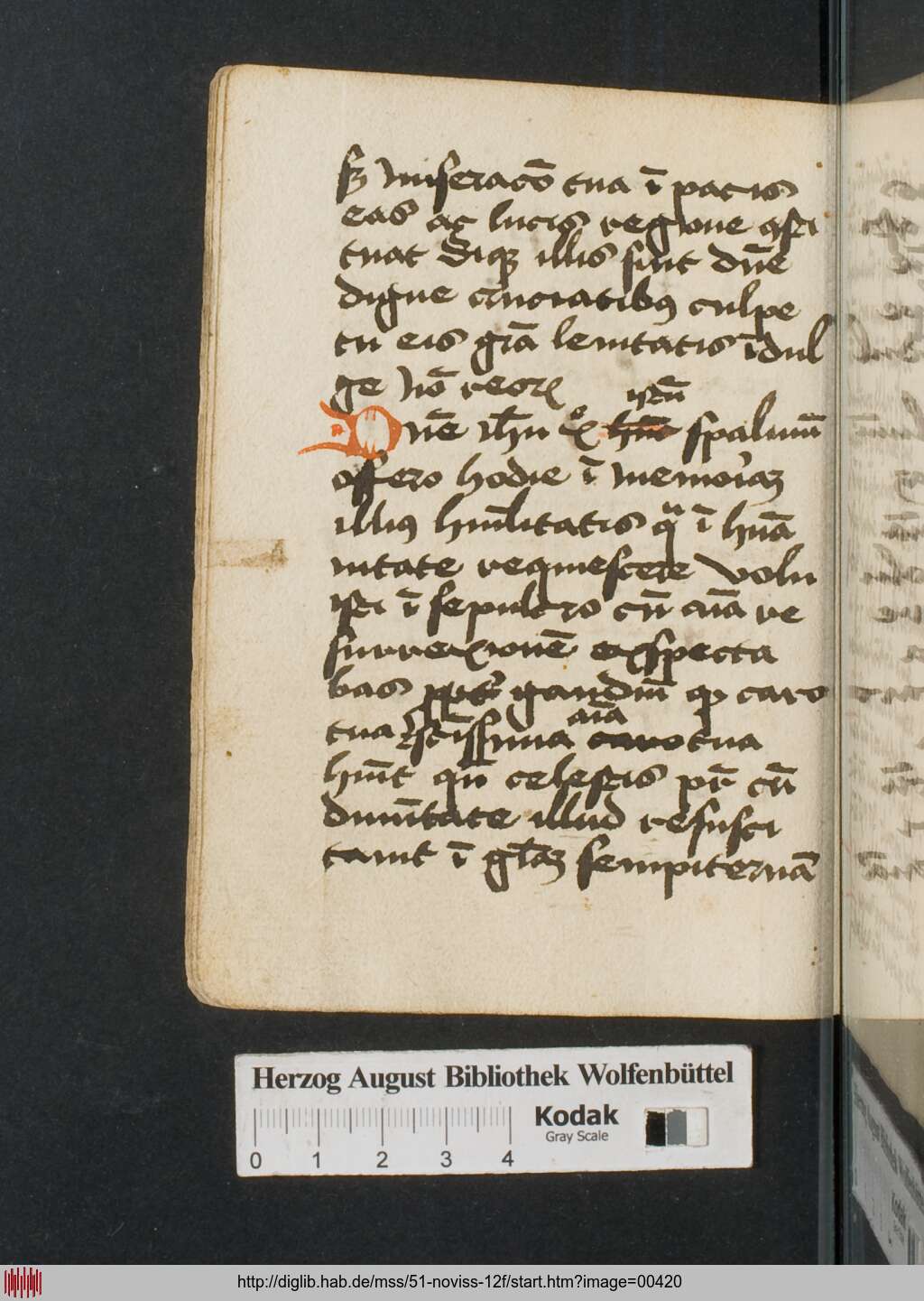 http://diglib.hab.de/mss/51-noviss-12f/00420.jpg