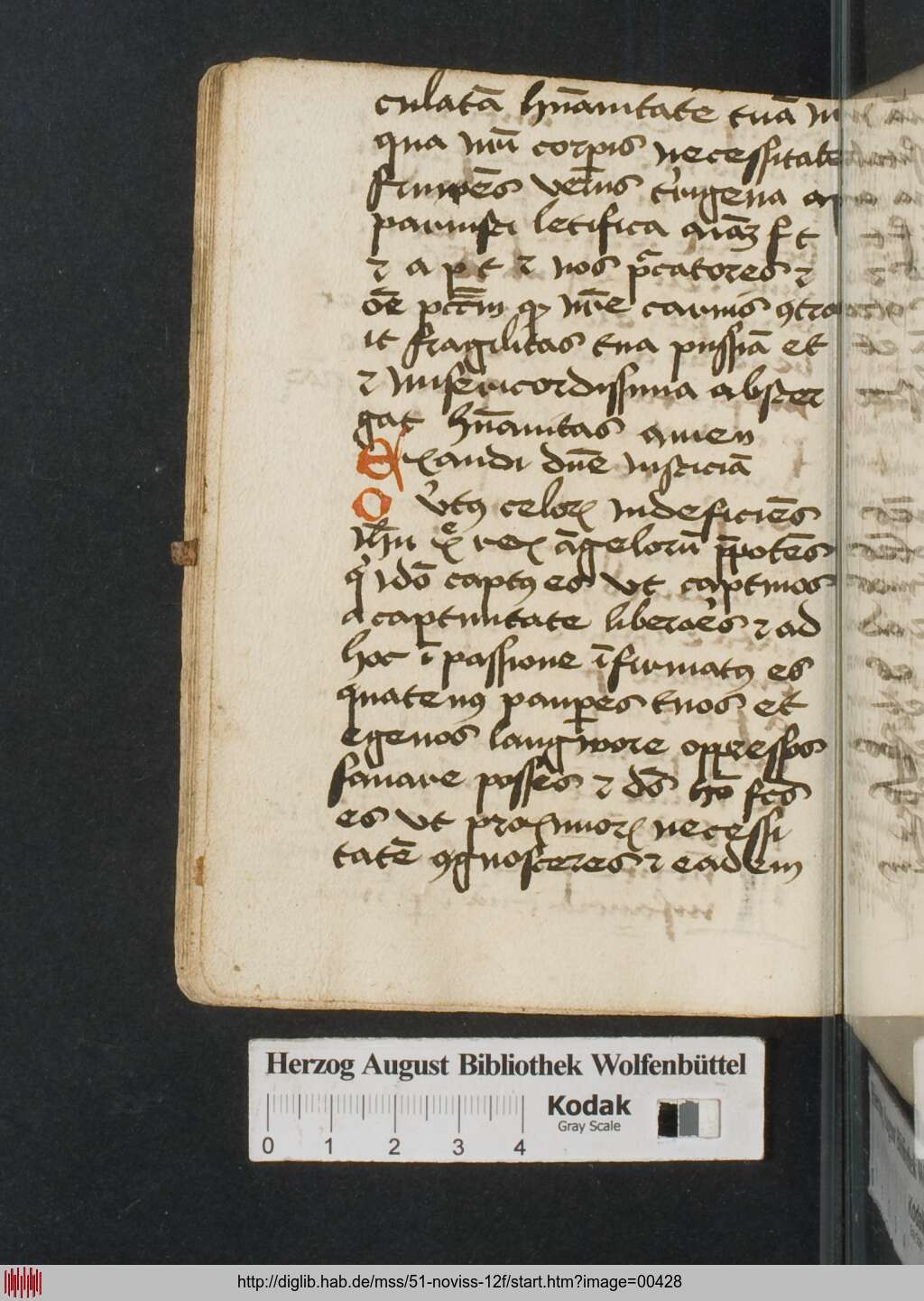 http://diglib.hab.de/mss/51-noviss-12f/00428.jpg