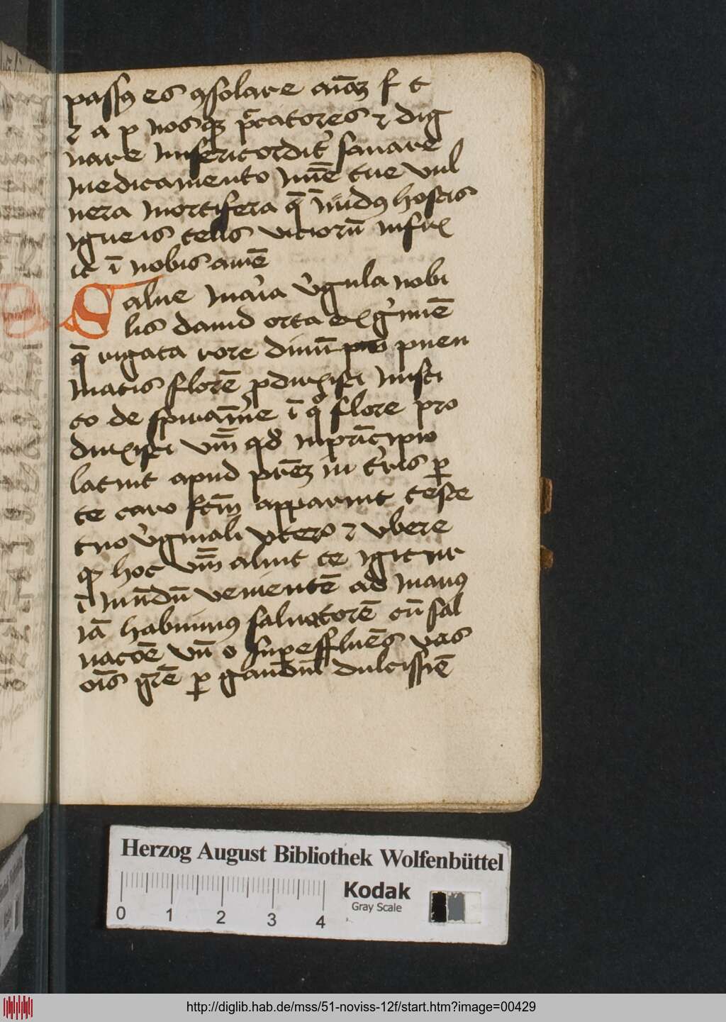 http://diglib.hab.de/mss/51-noviss-12f/00429.jpg