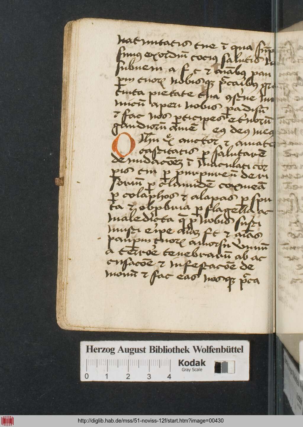 http://diglib.hab.de/mss/51-noviss-12f/00430.jpg