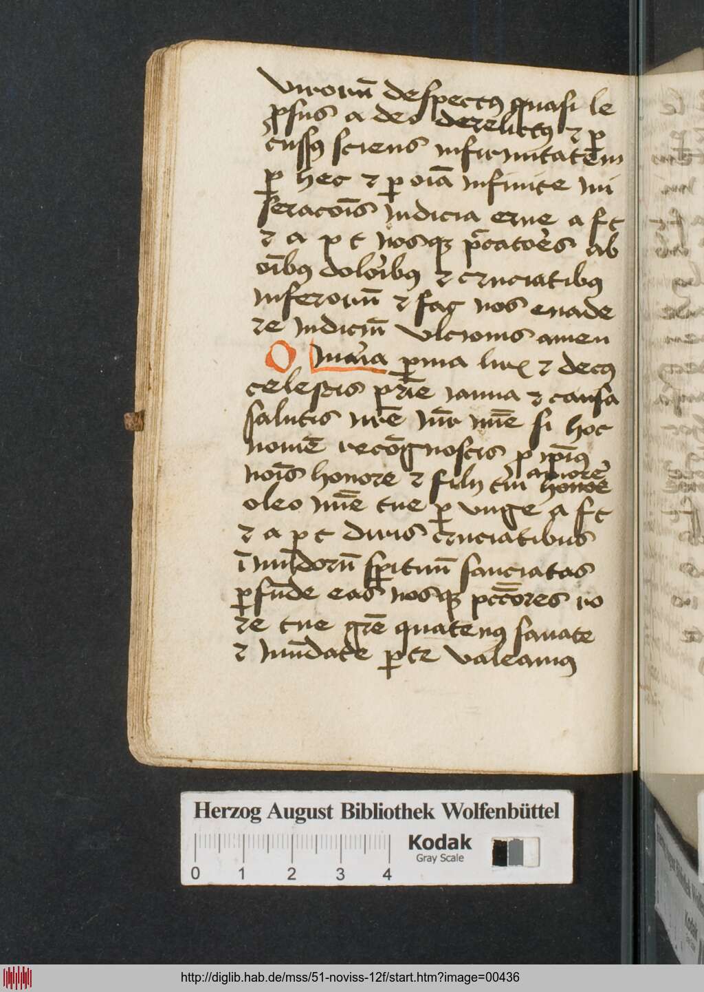 http://diglib.hab.de/mss/51-noviss-12f/00436.jpg