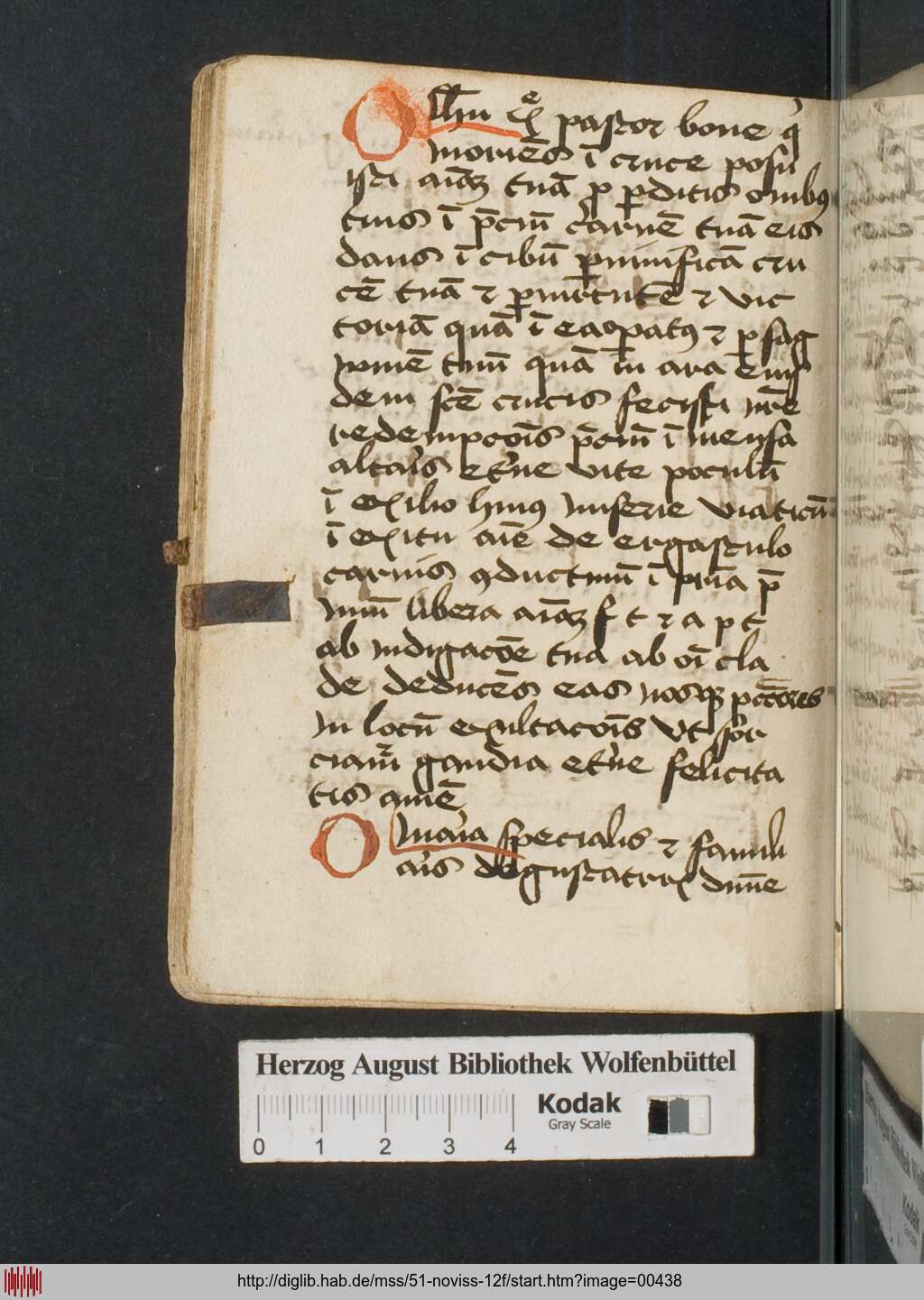 http://diglib.hab.de/mss/51-noviss-12f/00438.jpg