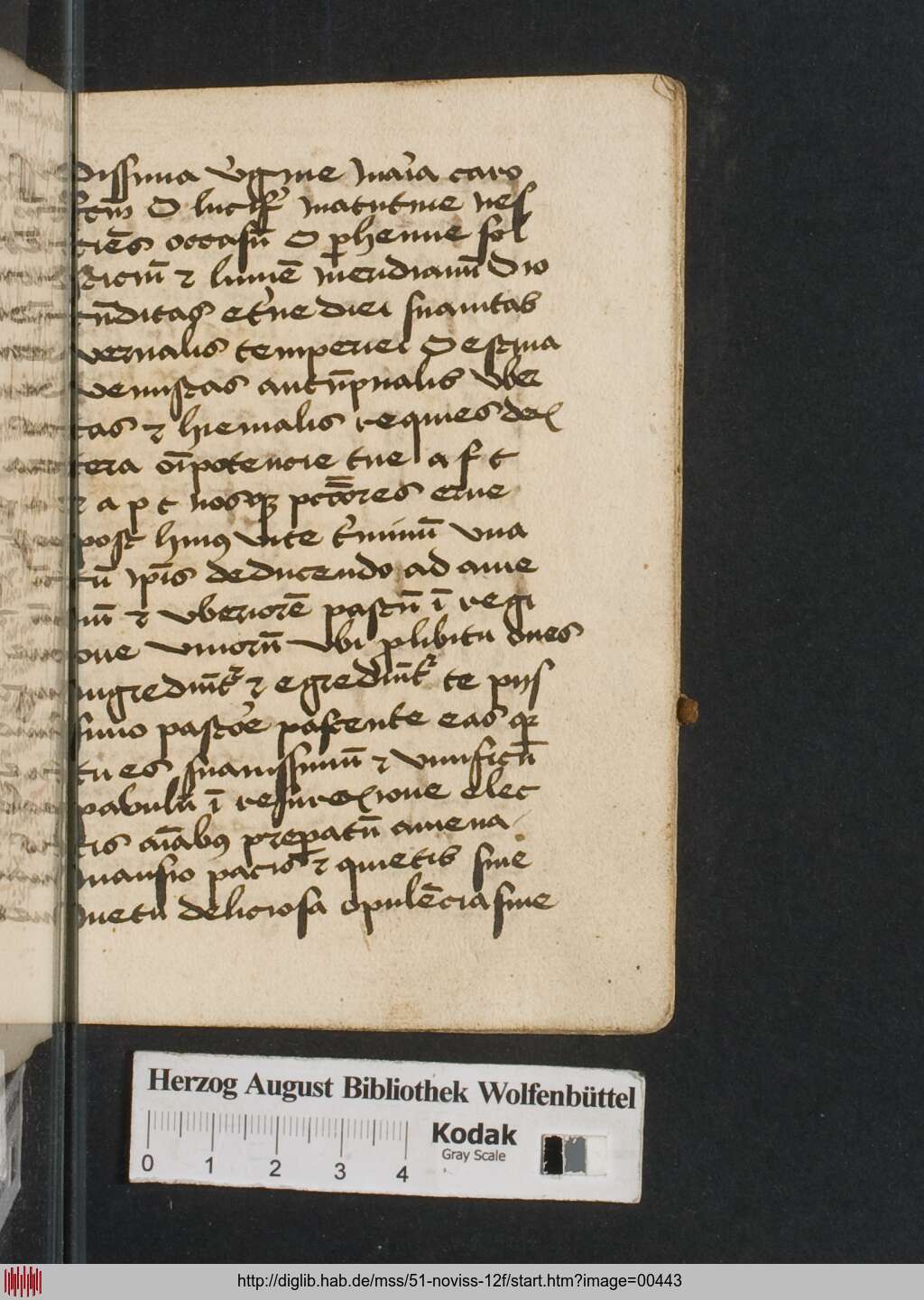 http://diglib.hab.de/mss/51-noviss-12f/00443.jpg