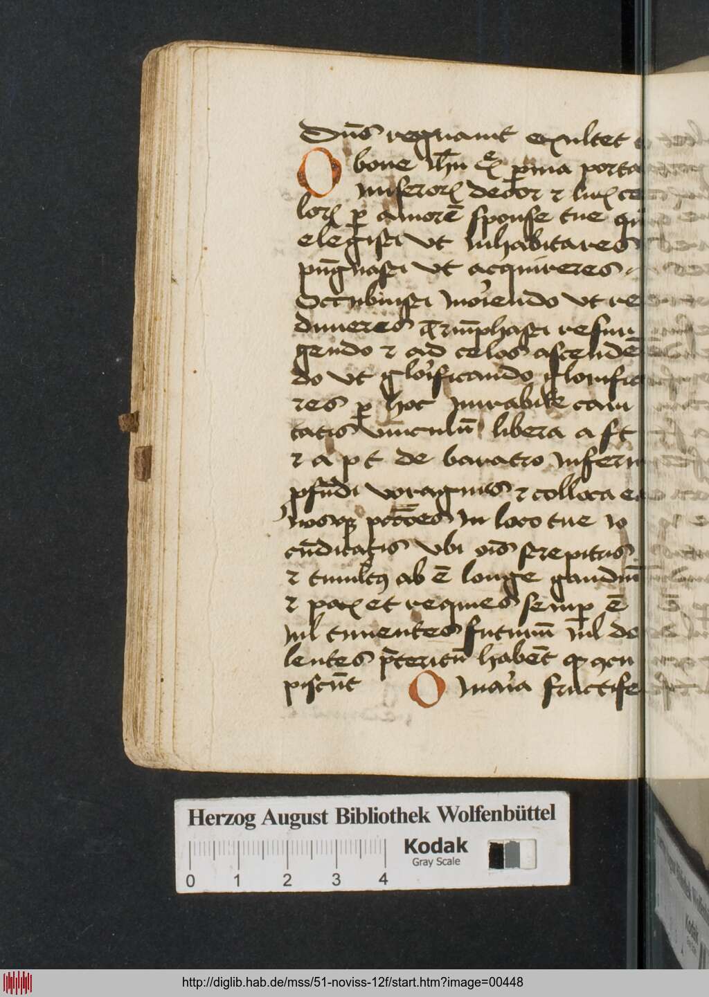 http://diglib.hab.de/mss/51-noviss-12f/00448.jpg