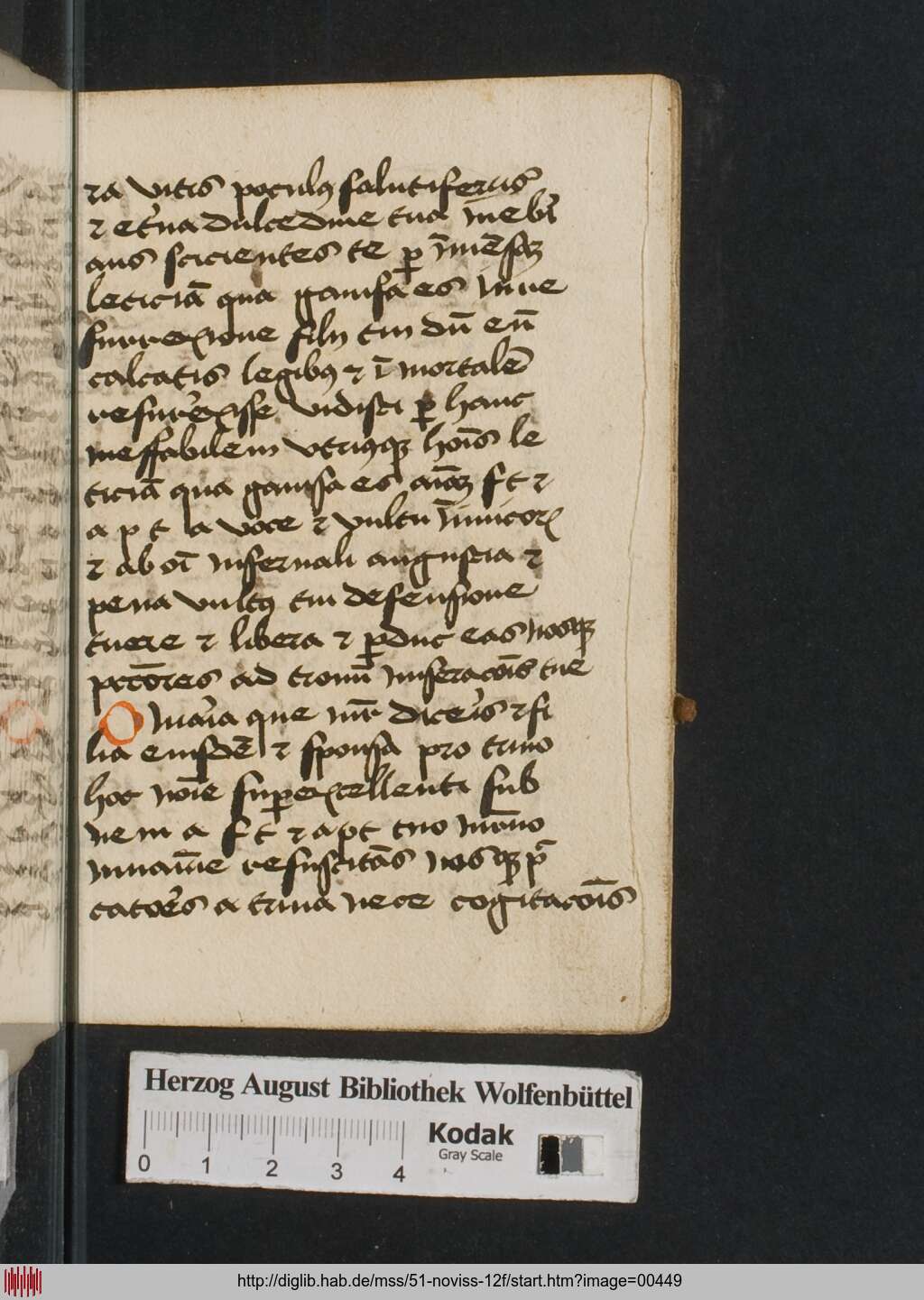 http://diglib.hab.de/mss/51-noviss-12f/00449.jpg