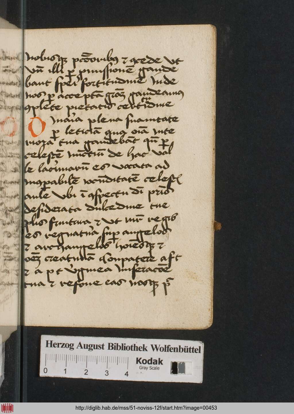 http://diglib.hab.de/mss/51-noviss-12f/00453.jpg