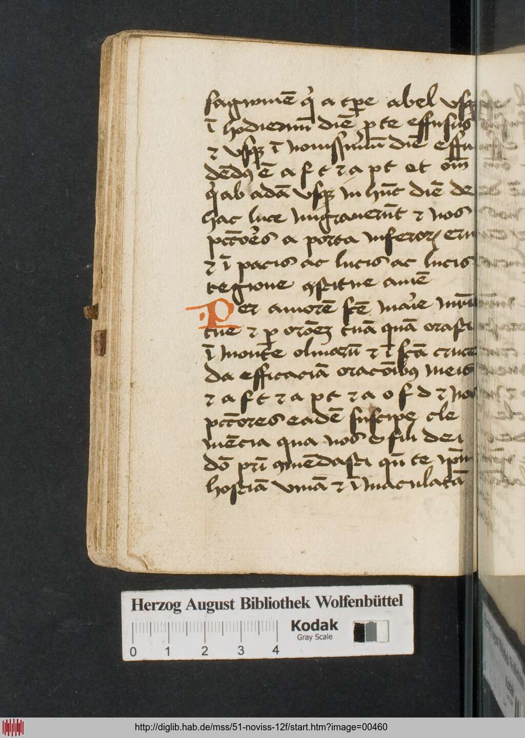 http://diglib.hab.de/mss/51-noviss-12f/00460.jpg