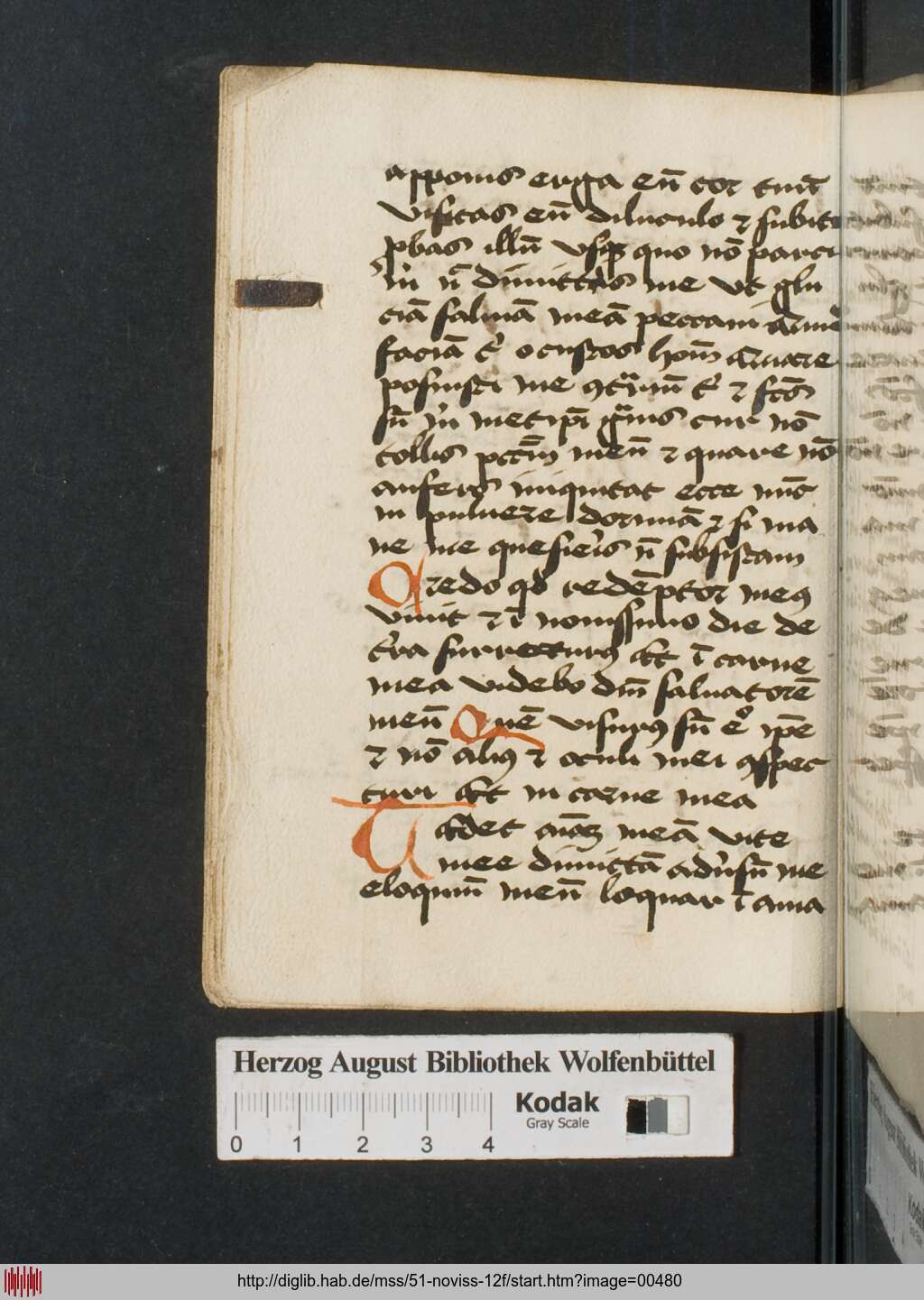 http://diglib.hab.de/mss/51-noviss-12f/00480.jpg