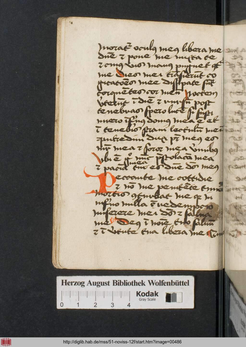 http://diglib.hab.de/mss/51-noviss-12f/00486.jpg