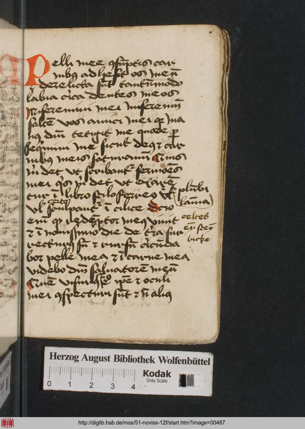 http://diglib.hab.de/mss/51-noviss-12f/00487.jpg