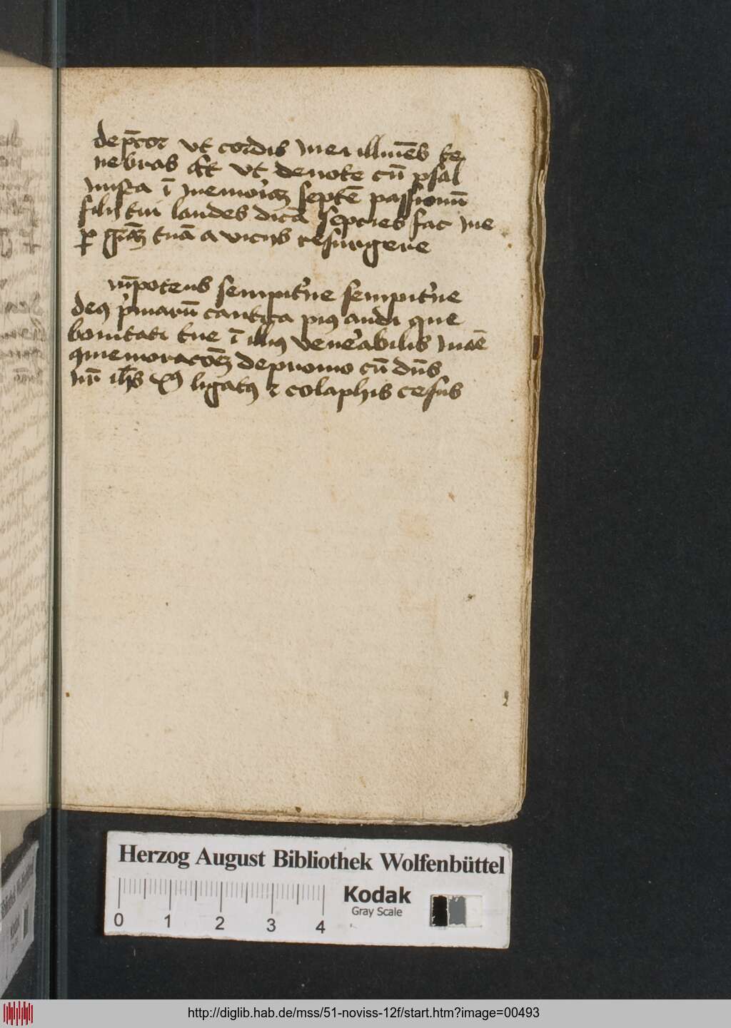 http://diglib.hab.de/mss/51-noviss-12f/00493.jpg