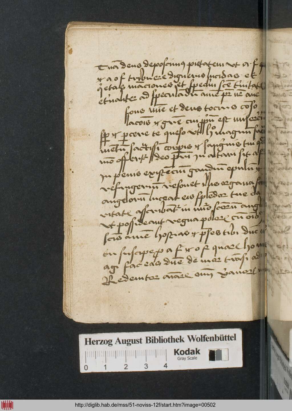 http://diglib.hab.de/mss/51-noviss-12f/00502.jpg