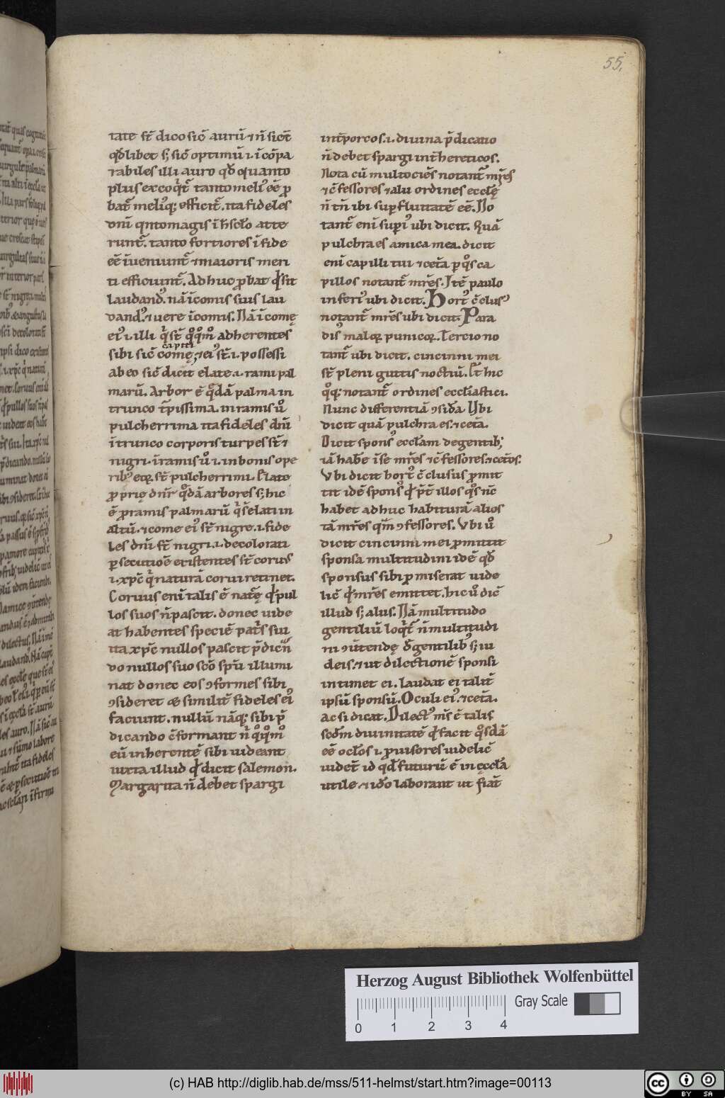 http://diglib.hab.de/mss/511-helmst/00113.jpg