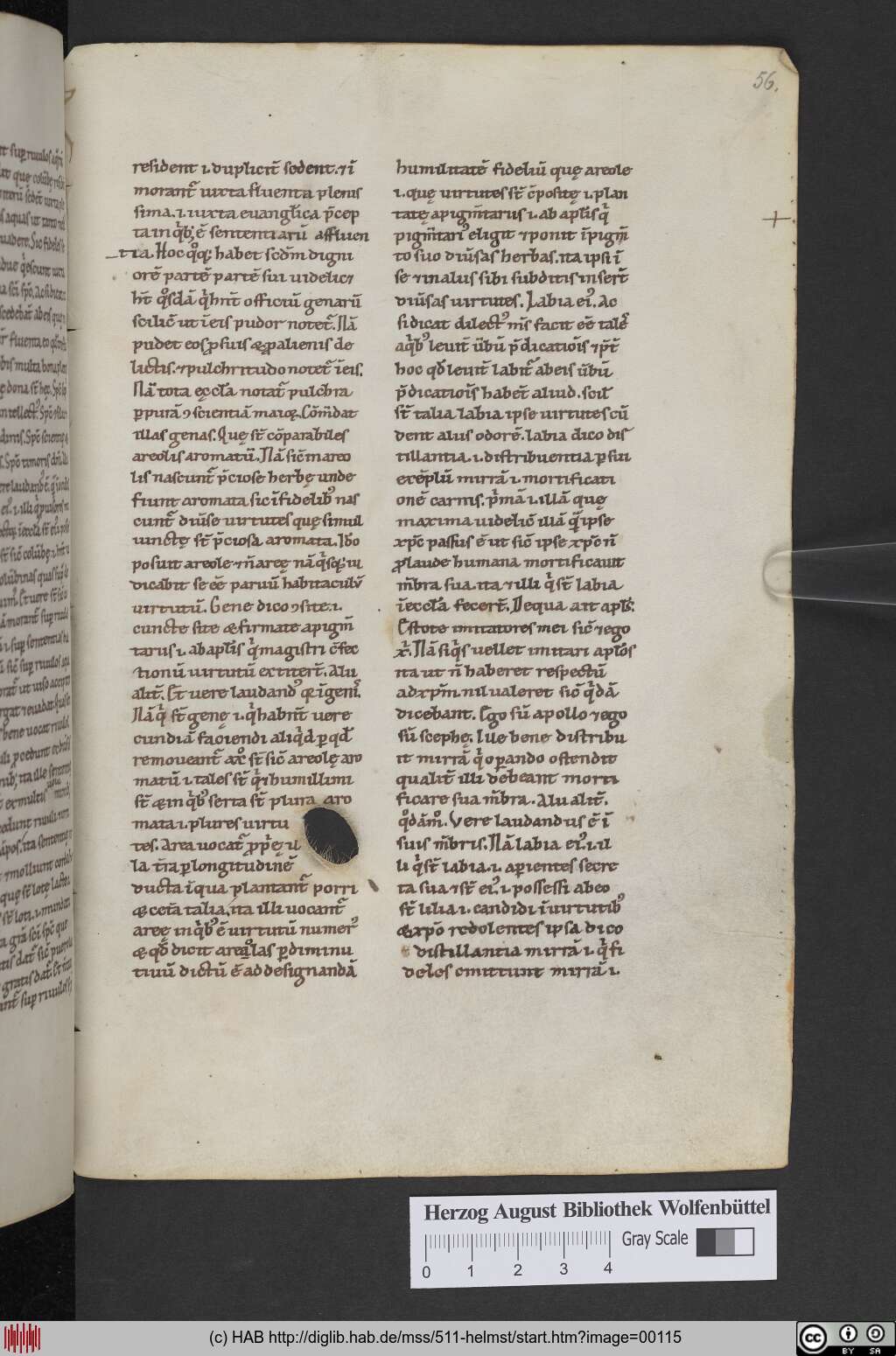 http://diglib.hab.de/mss/511-helmst/00115.jpg